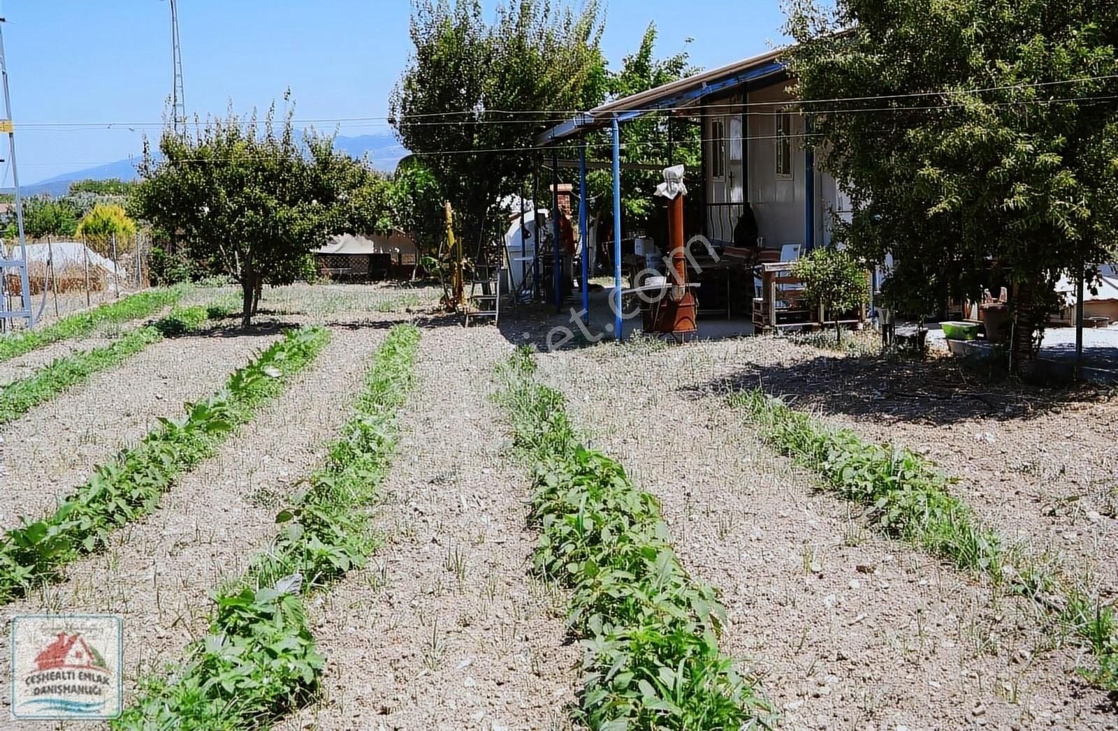 Urla İskele Satılık Tarla Urla/ İskele Ağaçlı Yola Paralel 802 M, İçinde Tapulu Ev..