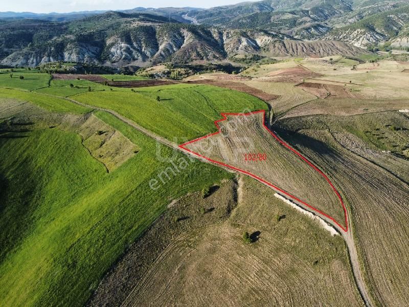 Yozgat Sorgun Halilfakılı'da Acil Satılık