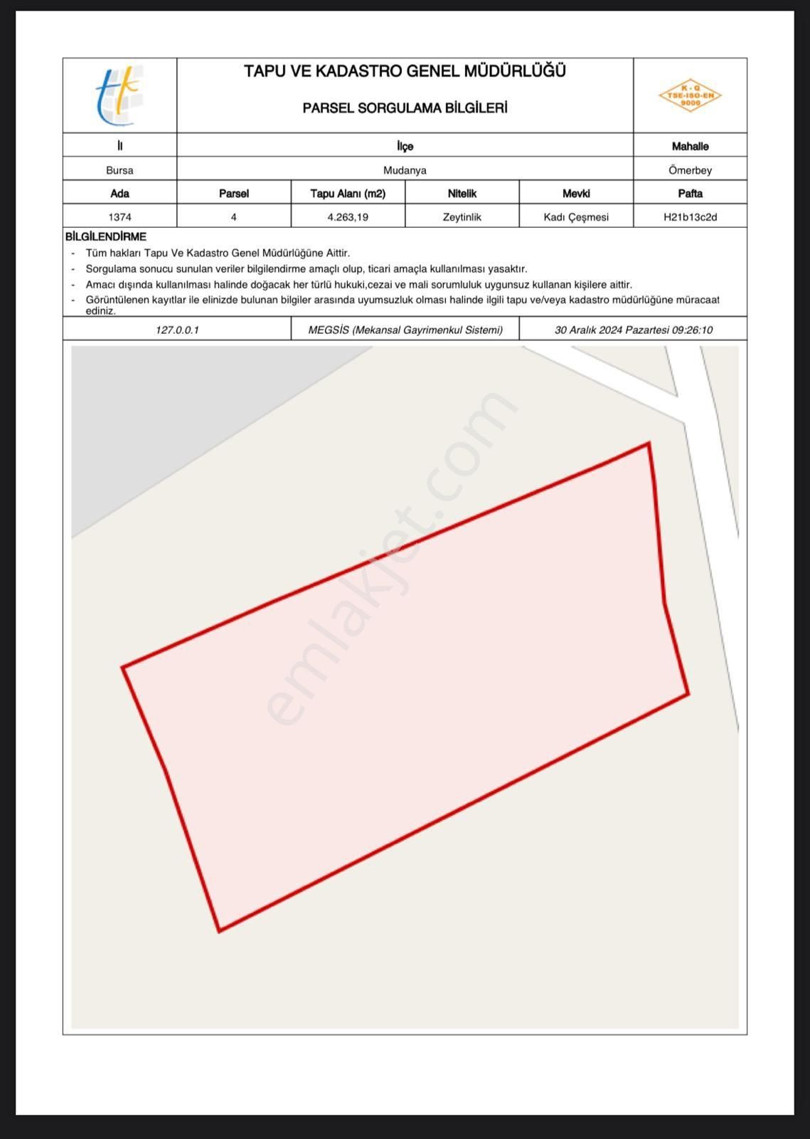 Bursa Mudanya Satılık Zeytinlik K2 Pera Bursa Mudanya Ömerbey Mah. 5000 Lik Planda 4263 Mt2 Yatırımlık Zeytinlik