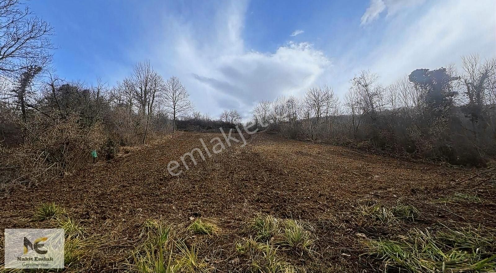 İnegöl Gündüzlü Satılık Tarla Gündüzlü'de 1600m2 Dereye Cephe Harika Bir Nokta Hobi İçin Güzel