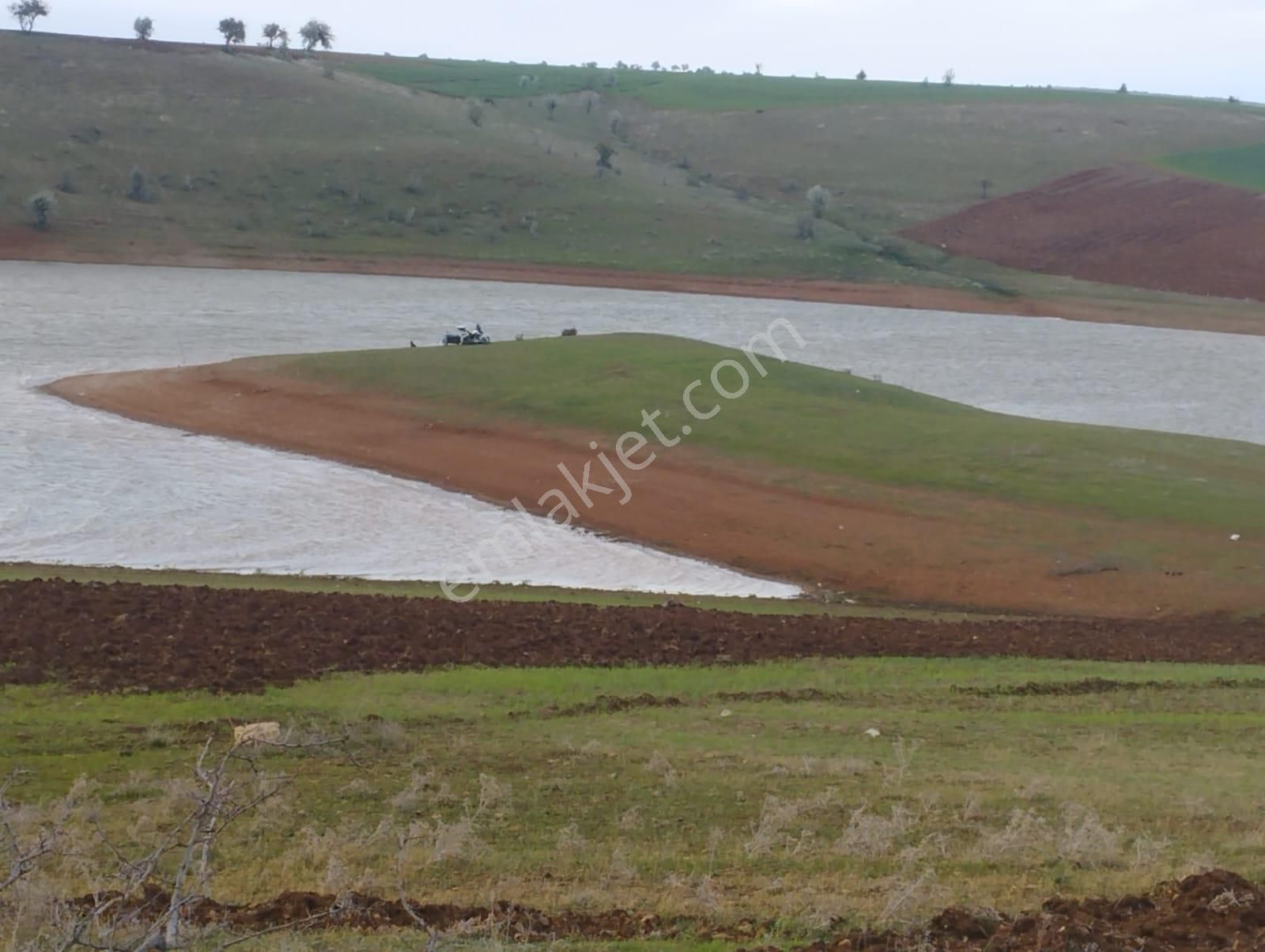 Beyşehir Yenidoğan Satılık Bağ & Bahçe Beyşehir Yenidoğan Göleti Dibinde Satılık Bahçe