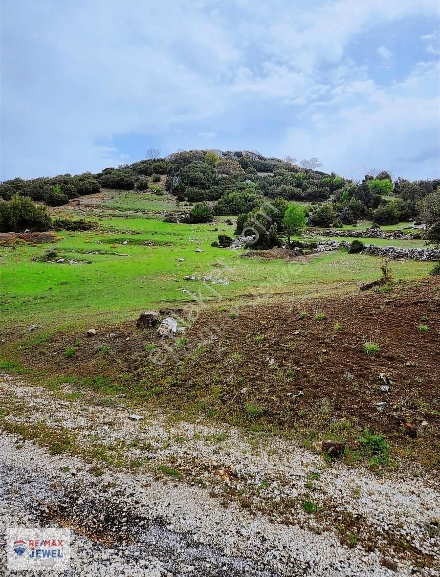 Çeltikçi Çebiş Köyü (Merkez) Satılık Tarla Burdur- Çebiş Köyü Mevkinde Asfalt Yolda 4606 M2 Acil Satılık