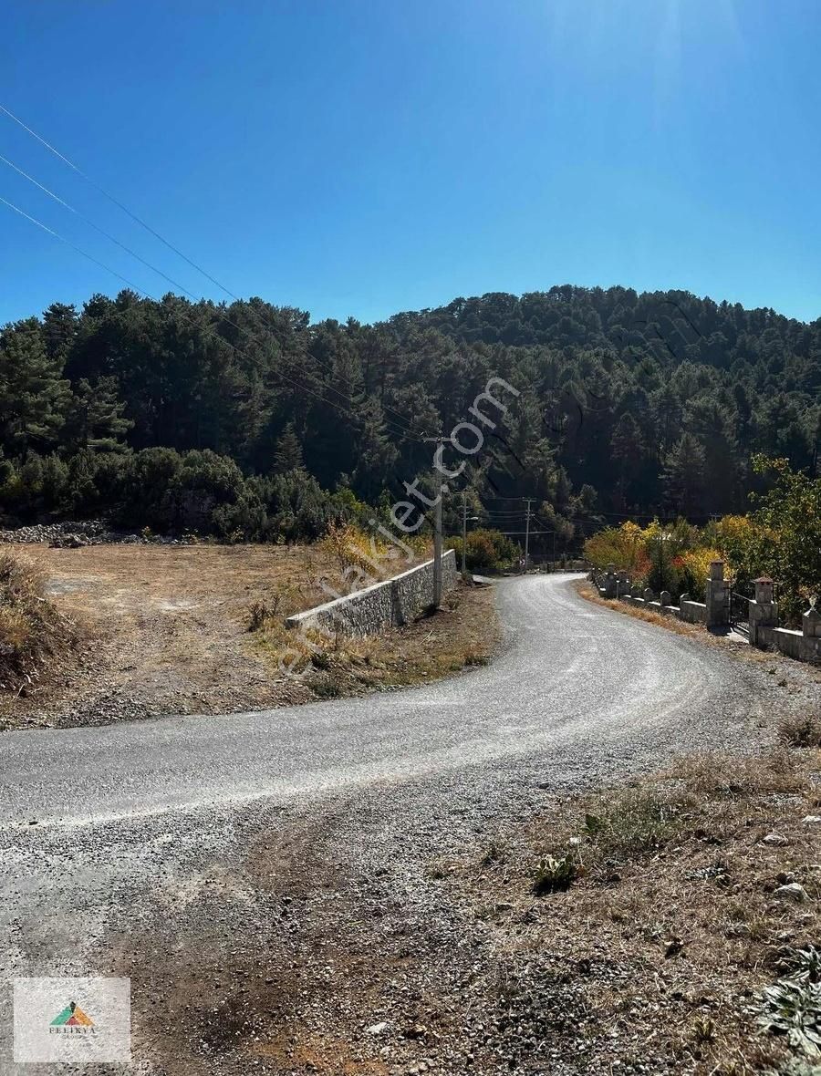 Fethiye Koruköy Satılık Tarla Fethiye Yaylakoru Yola Cephe Takasa Açık Arazi