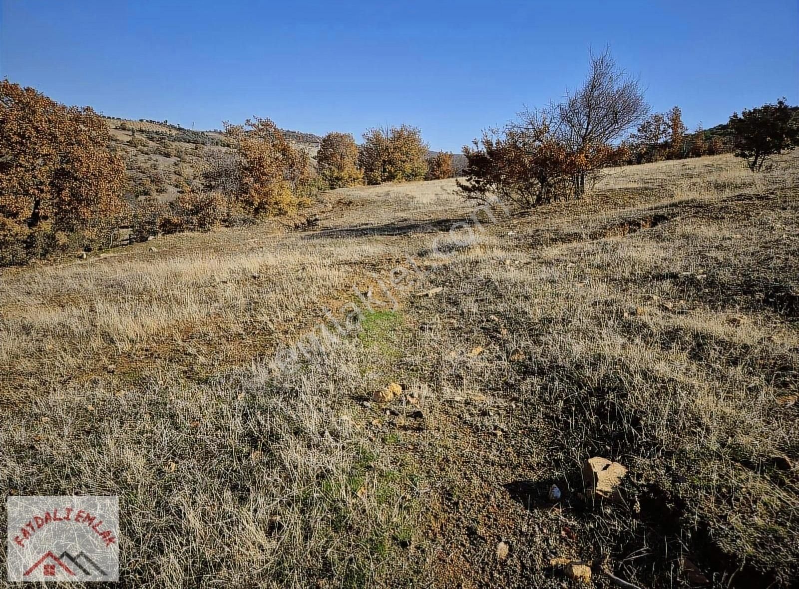 Gördes Kıymık Satılık Tarla Gördes Kıymıkta 17.000m2 Mahalleye Sınır Tarla