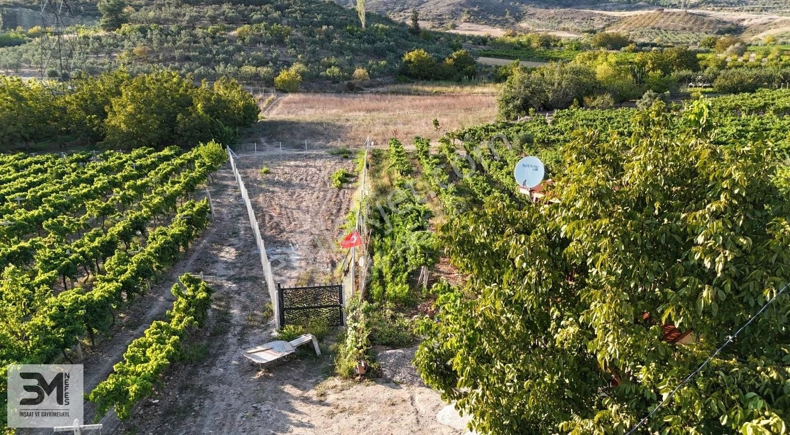 Pamukova Bacıköy Satılık Tarla Pamukova Bacı 493 M2 Tel Çit İle Çevrili,ana Asfalt Yola 150 M