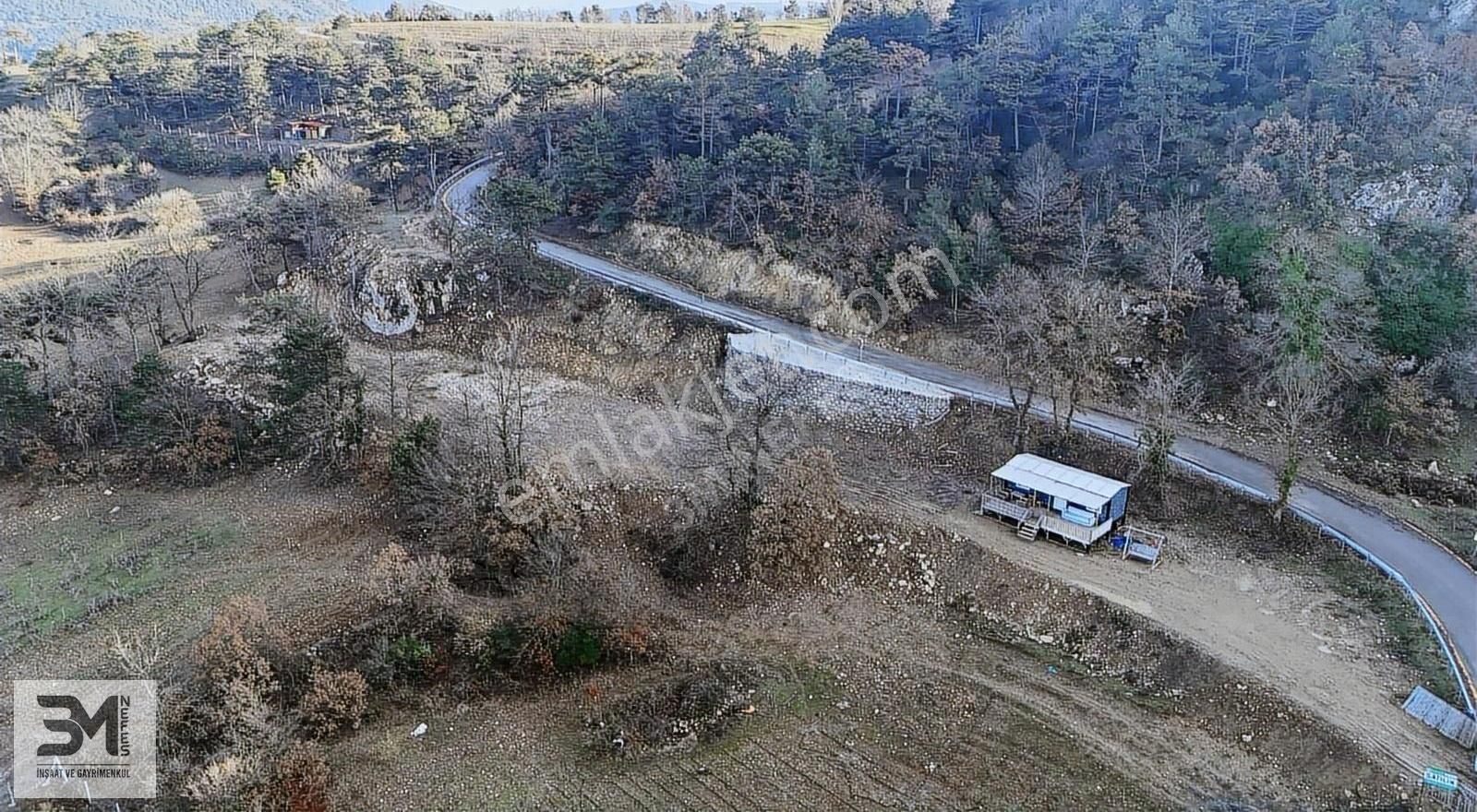 Geyve Demirler Satılık Tarla Geyve Demirler 3120 M2 Asfalt Yol Eşsiz Panoramik Geyve Manzara