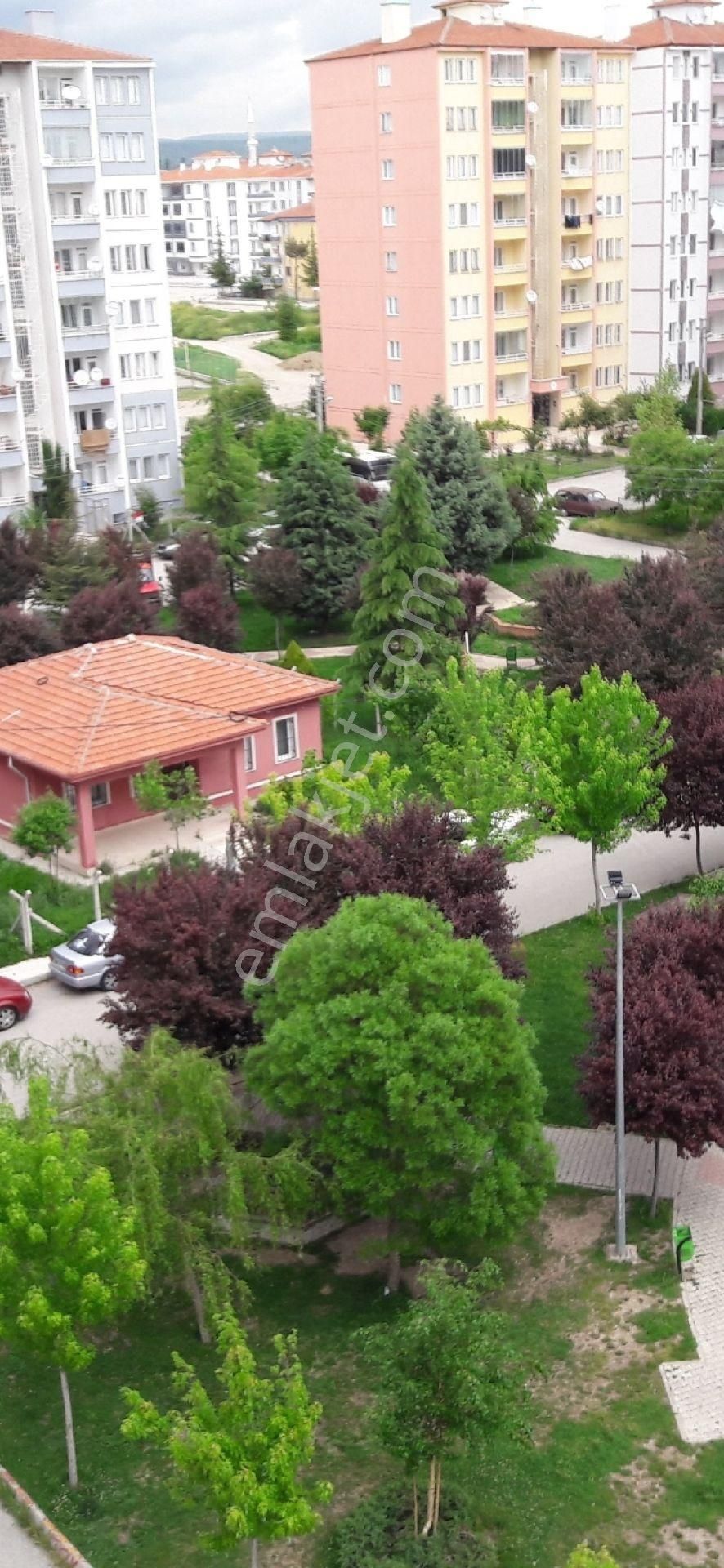 Çorum Merkez Ulukavak Kiralık Daire Eşyalı Daire Üniversite Yanı