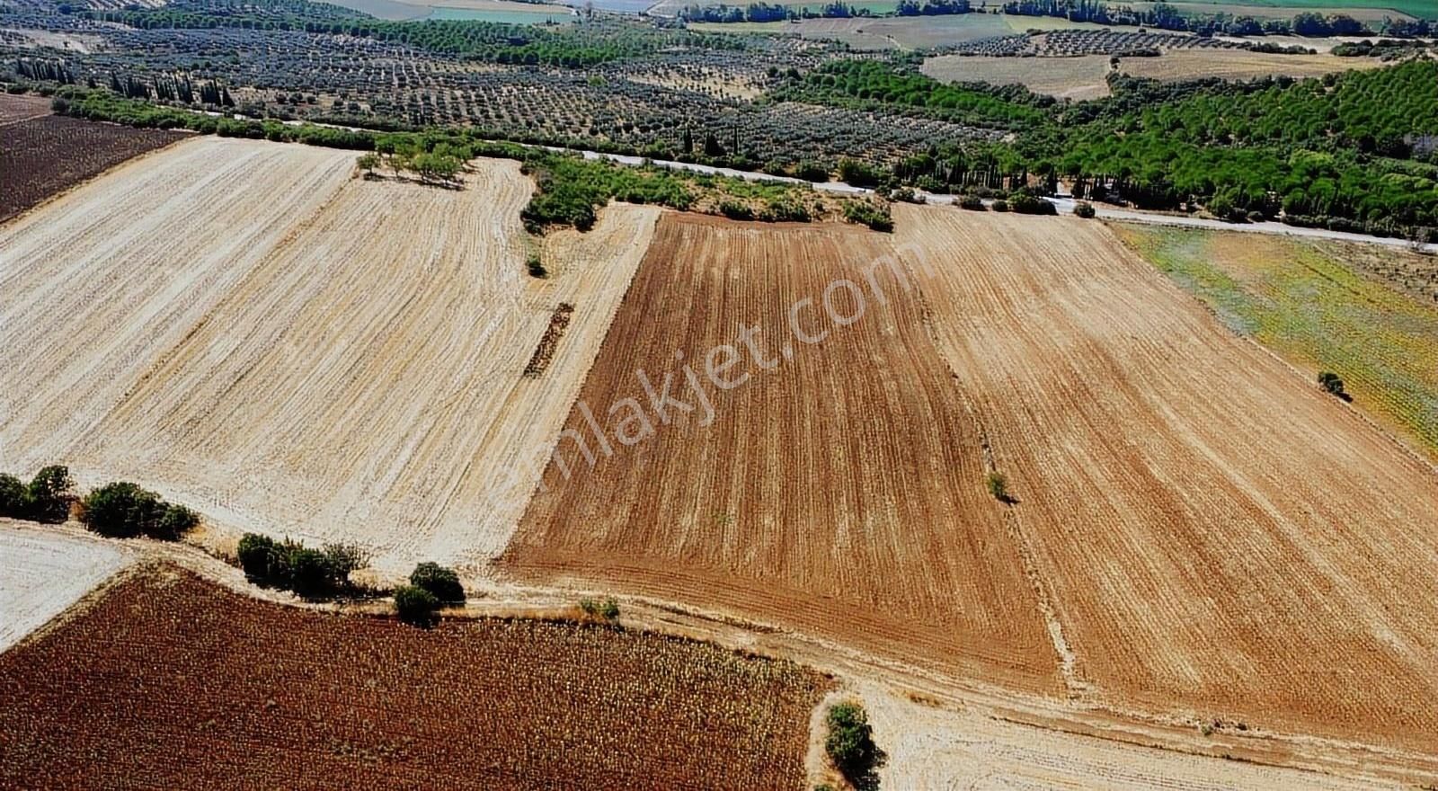 Bandırma Yeniyenice Satılık Tarla Bandırma Yeniyenice'de 15.700 M2 Satılık Tarla