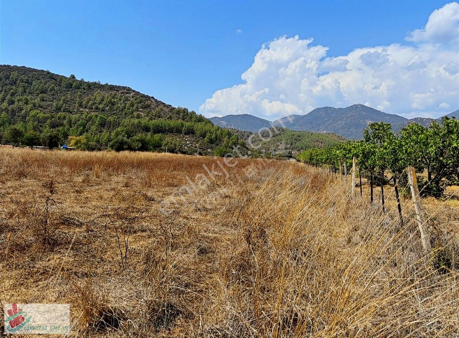 Fethiye Yeşilüzümlü Satılık Tarla Fethiye Üzümlüde 3300 M2 Arazimiz Satılıktır