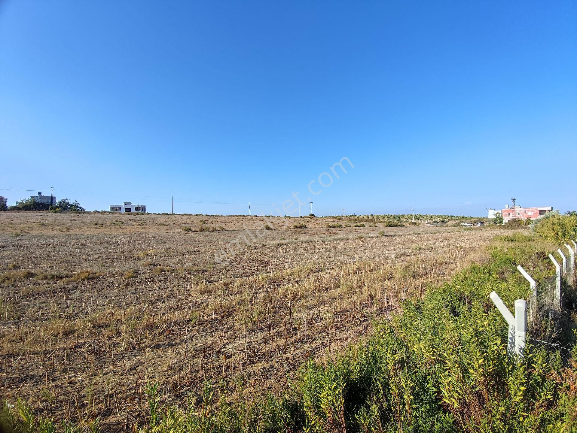 Gms Emlak'tan Karataş'ta Yeni Yerleşim Bölgesinde Satılık Eşsiz 453m² Mükemmel Konumda Kaçmaz Arsa - Görsel 5