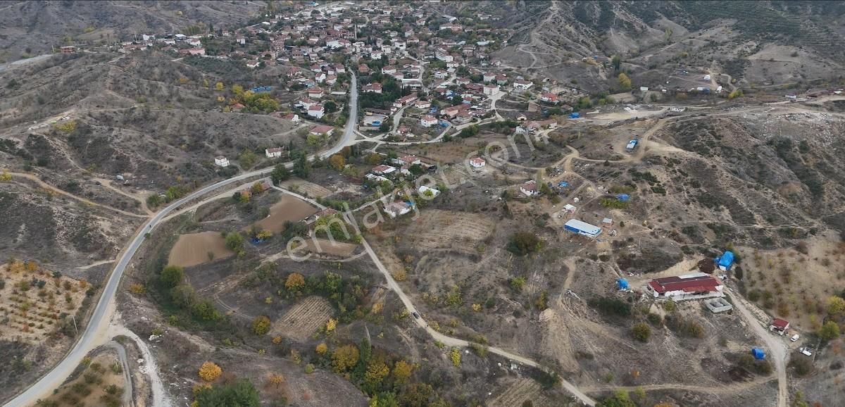 Bilecik Merkez Yeniköy Köyü Satılık Bağ & Bahçe Turpa Arxes'ten Bilecik Yeniköyde Bağ Ve Bahçe Satılıktır