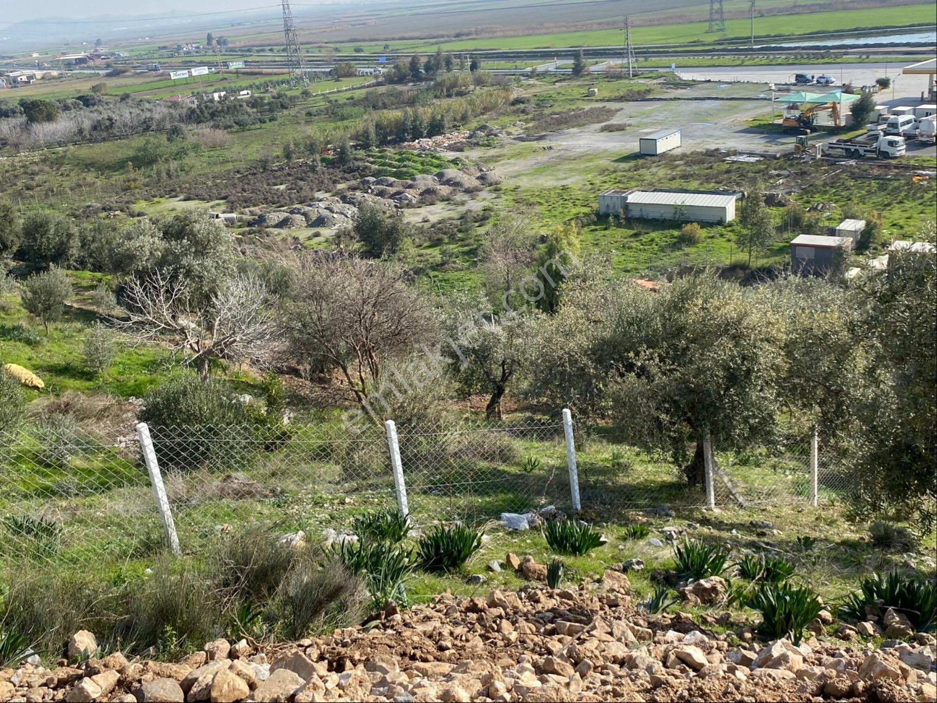 Aydın Söke Satılık Zeytinlik Söke Argavlıda Satılık İmara Sınır Yolu Açılmış Yalçınlar Cam Fabrikası Arkası Zeytinlik