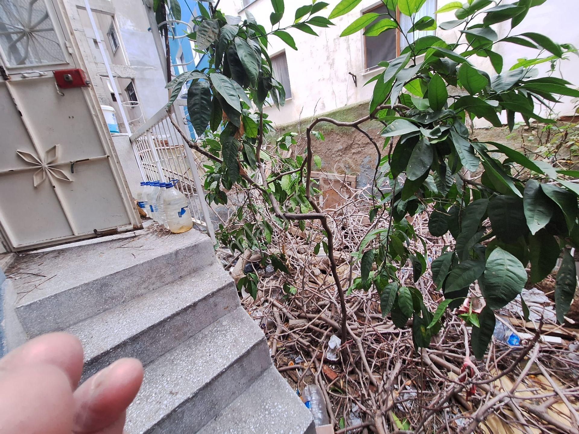 Hatayda 4+2 Müstakil Ev - Görsel 5