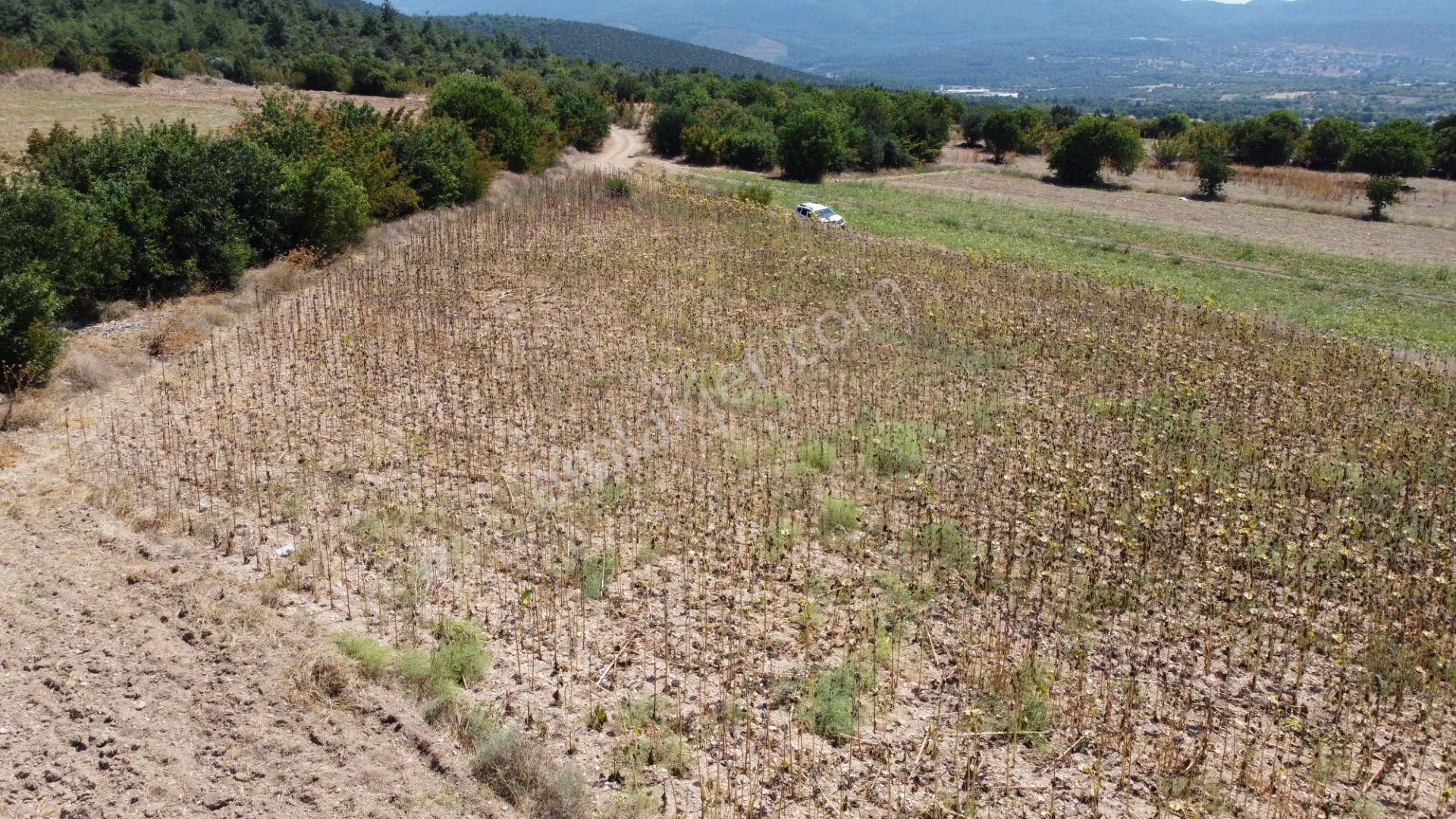 Osmaneli Medetli Köyü Satılık Tarla 7 Dönüm Resmi Yolu Olan Manzaralı Uygun Fiyatlı Arazi