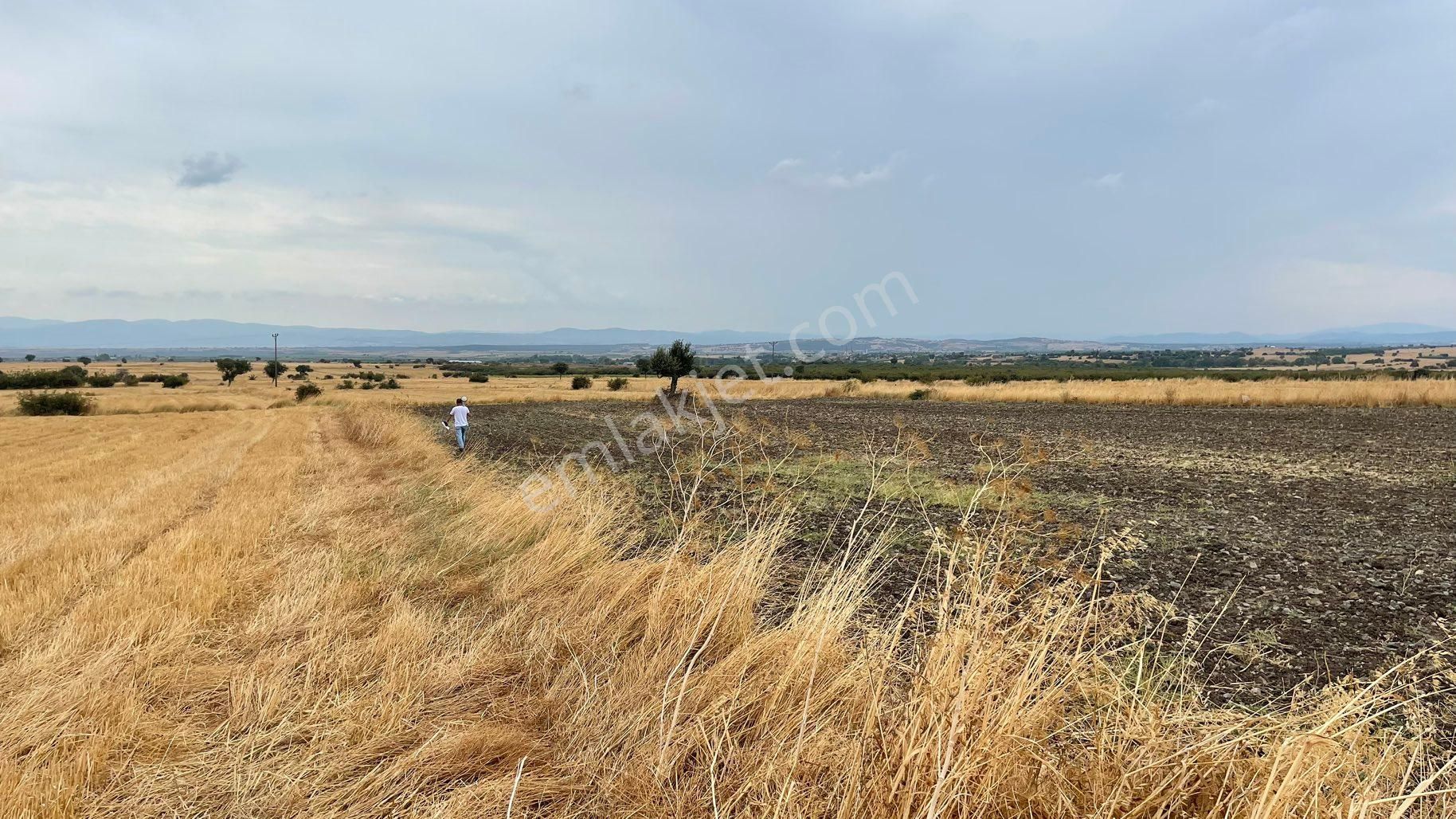 Biga Kocagür Köyü Satılık Tarla Çanakkale Biga Kocagürde Tarla