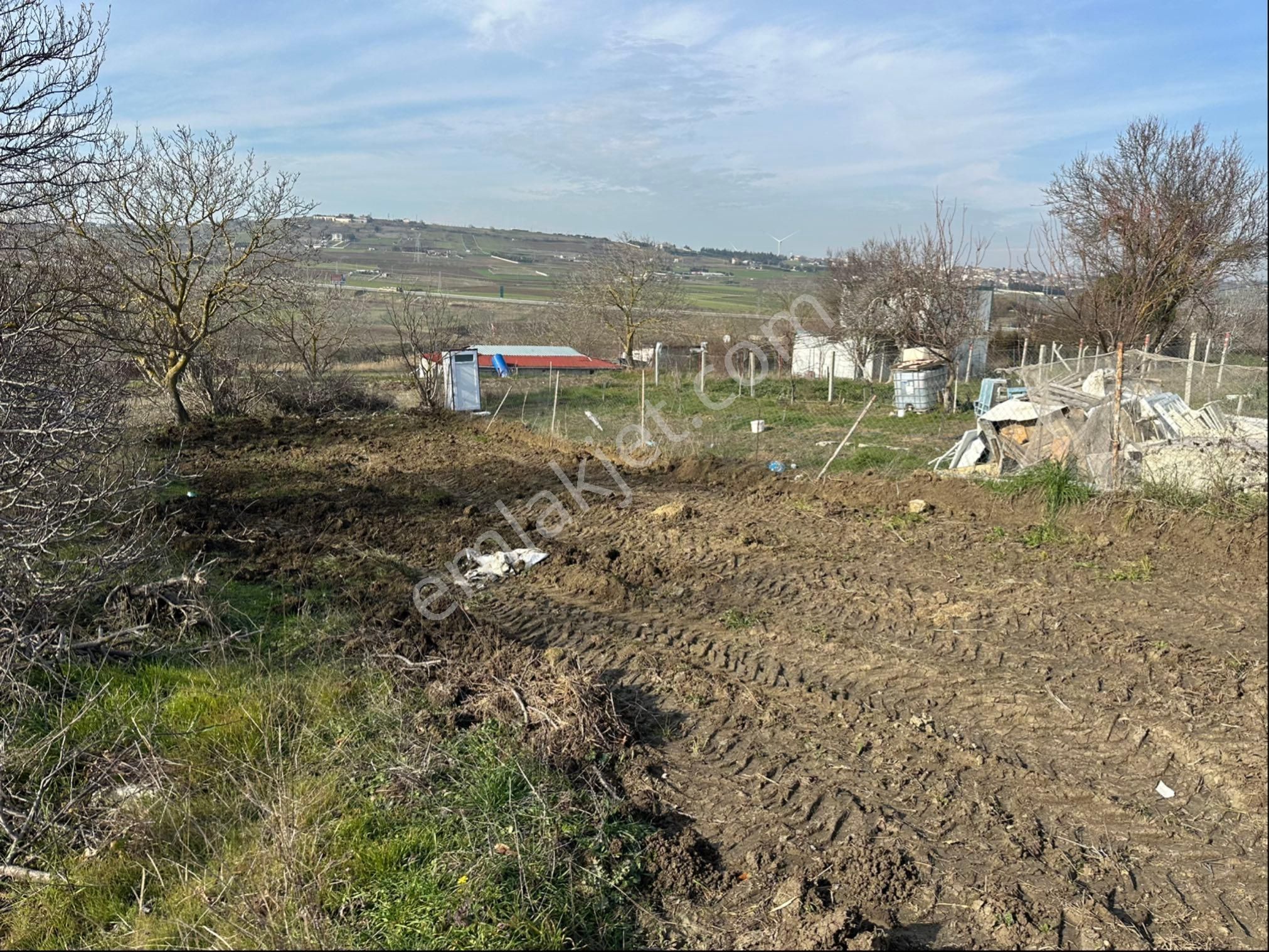 Silivri Fener Satılık Bağ & Bahçe Silivri Fenerde Çok Güzel Lokasyonda Bağ Yeri Tek Tapu 592m2