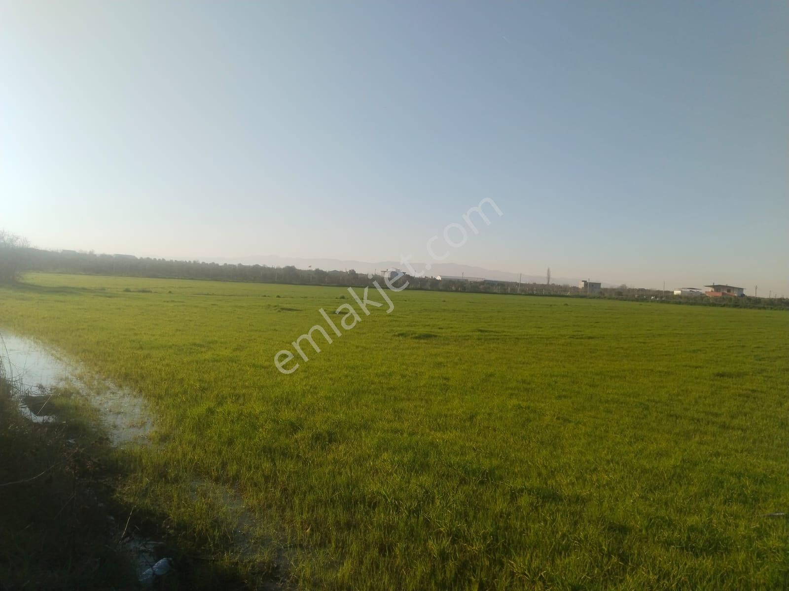 Menderes Oğlananası Cumhuriyet Mahallesi'nde Satılık Tarla - Görsel 10