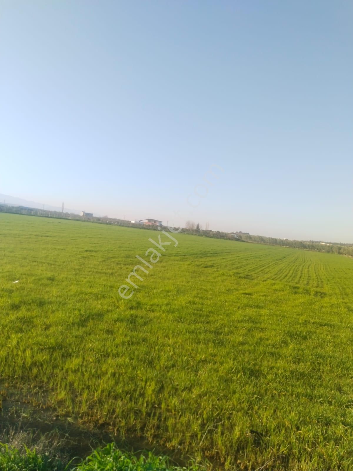 Menderes Oğlananası Cumhuriyet Mahallesi'nde Satılık Tarla - Görsel 4