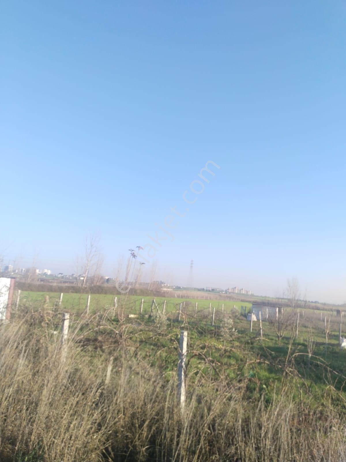 Menderes Oğlananası Cumhuriyet Mahallesi'nde Satılık Tarla - Görsel 15