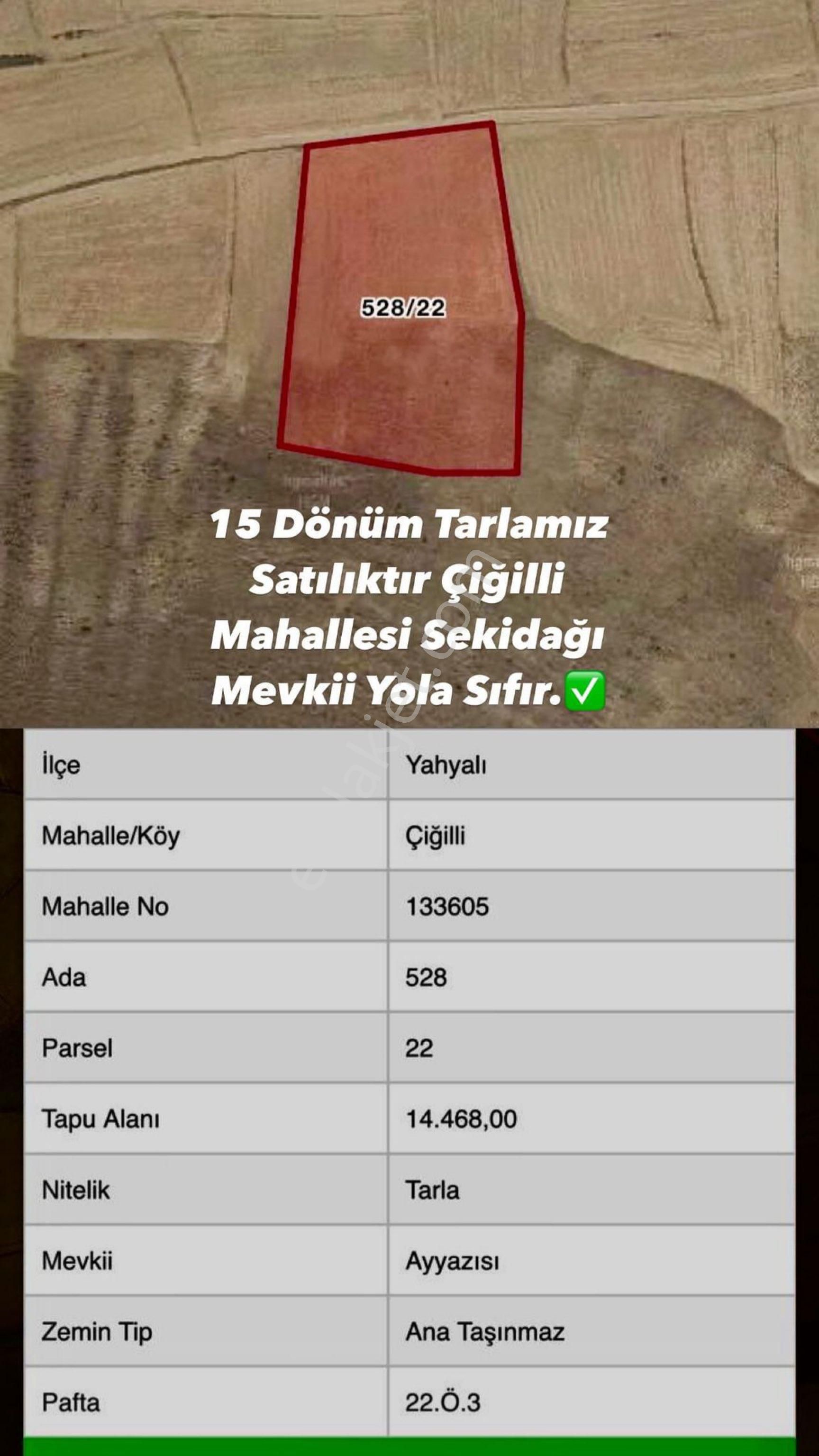 Yahyalı Çiğilli Satılık Konut İmarlı Nisa Emlaktan 15 Dönüm Tarla