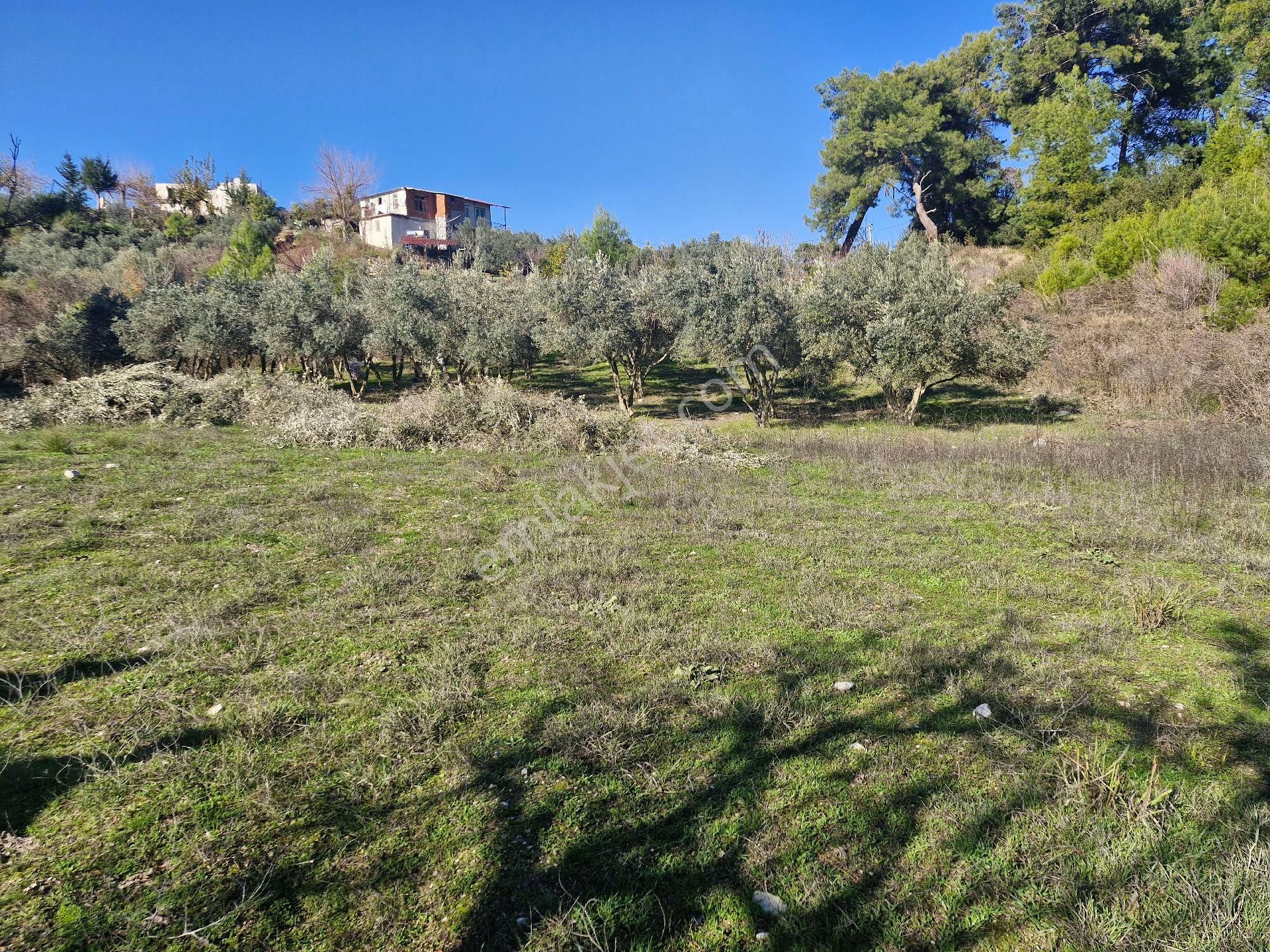 Seydikemer Korubükü Satılık Tarla Seydikemer Kayadibi(saklıkent) Manzaralı Fırsat Arazileri