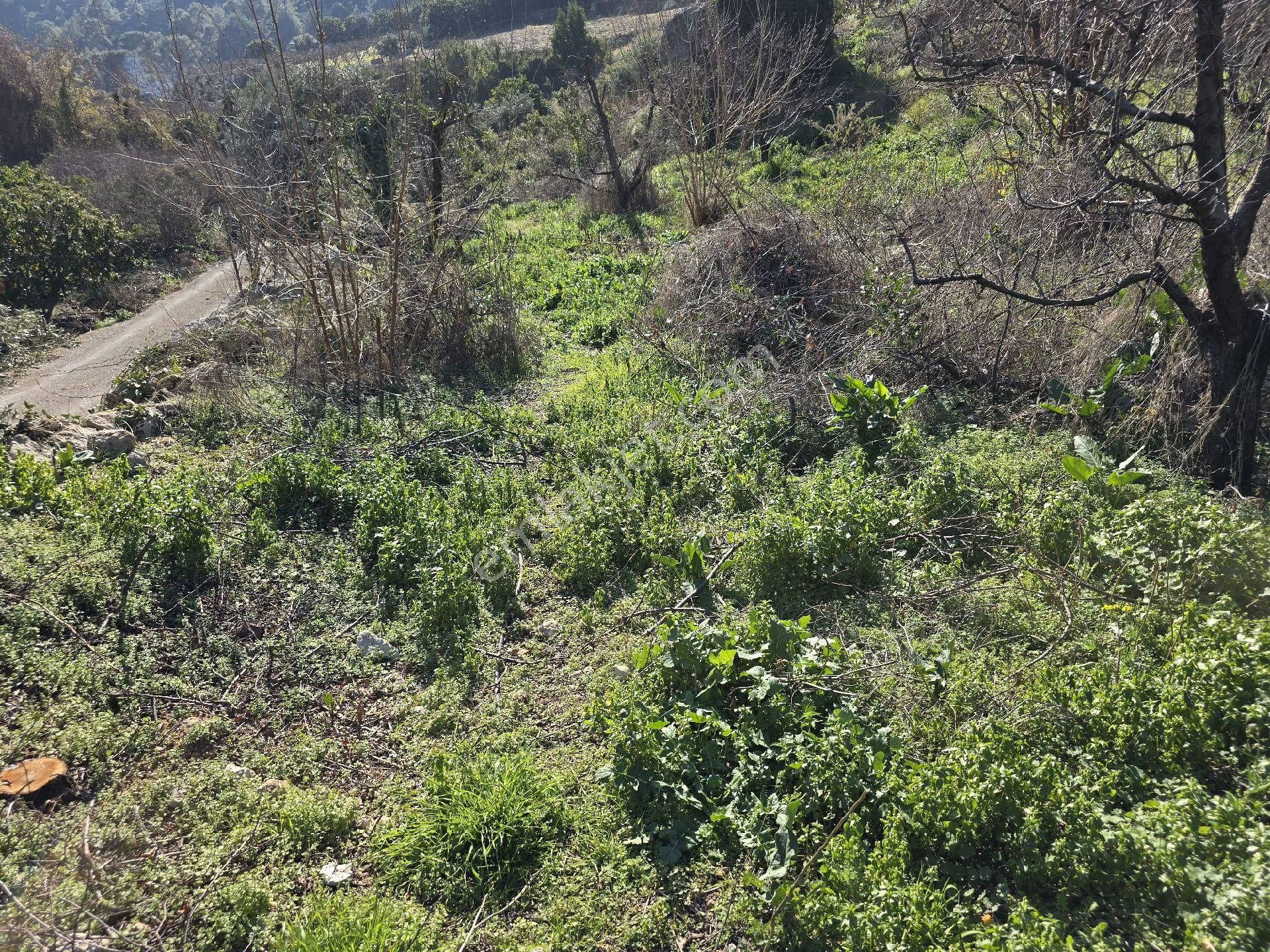 Yenişehir Çukurkeşli Satılık Tarla Mersin Yenişehir Çukurkeşlik Mah.'de 2 Kata İmarlı Satılık Tarla