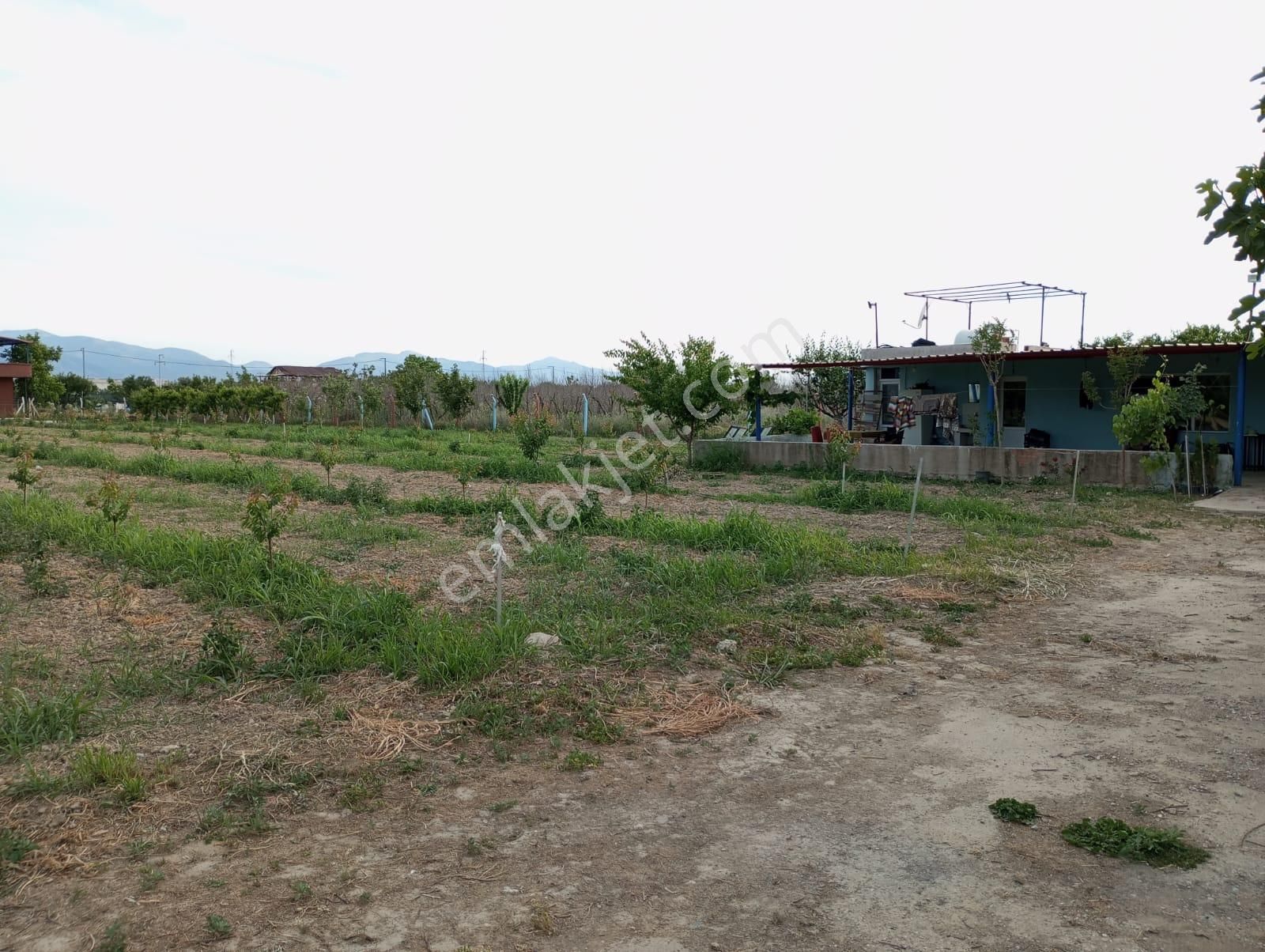 Turgutlu Albayrak Satılık Bağ & Bahçe Manisa/turgutlu Nurcan Emlak’dan 2.mıntıkada Satılık Kayısı Bahçesi,evi Sondaj Elektirik Var