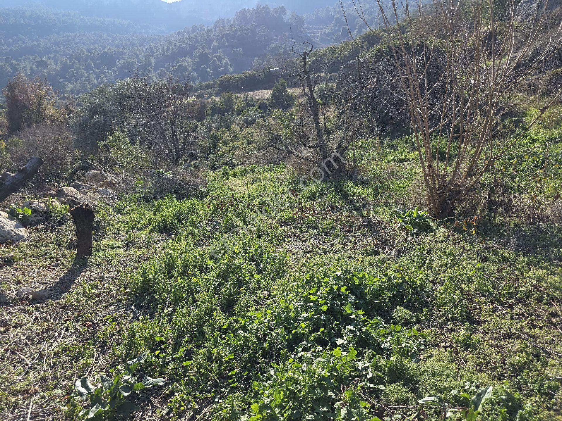 Yenişehir Çukurkeşli Satılık Tarla Mersin Yenişehir Çukurkeşlik Mah'de 2 Kata İmarlı Satılık Tarla