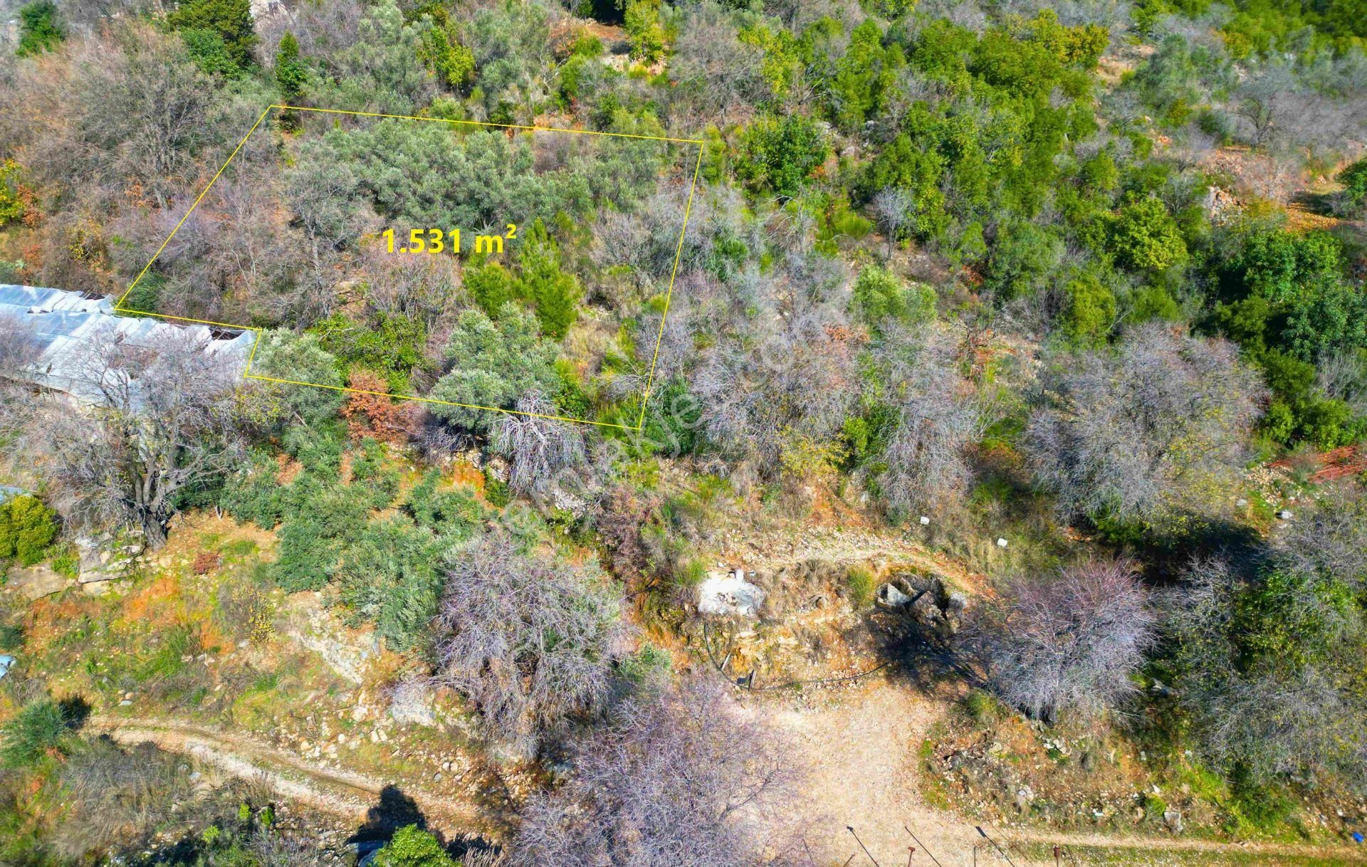 Satılık 1.531 M² Tarla Deniz Manzaralı - Görsel 10