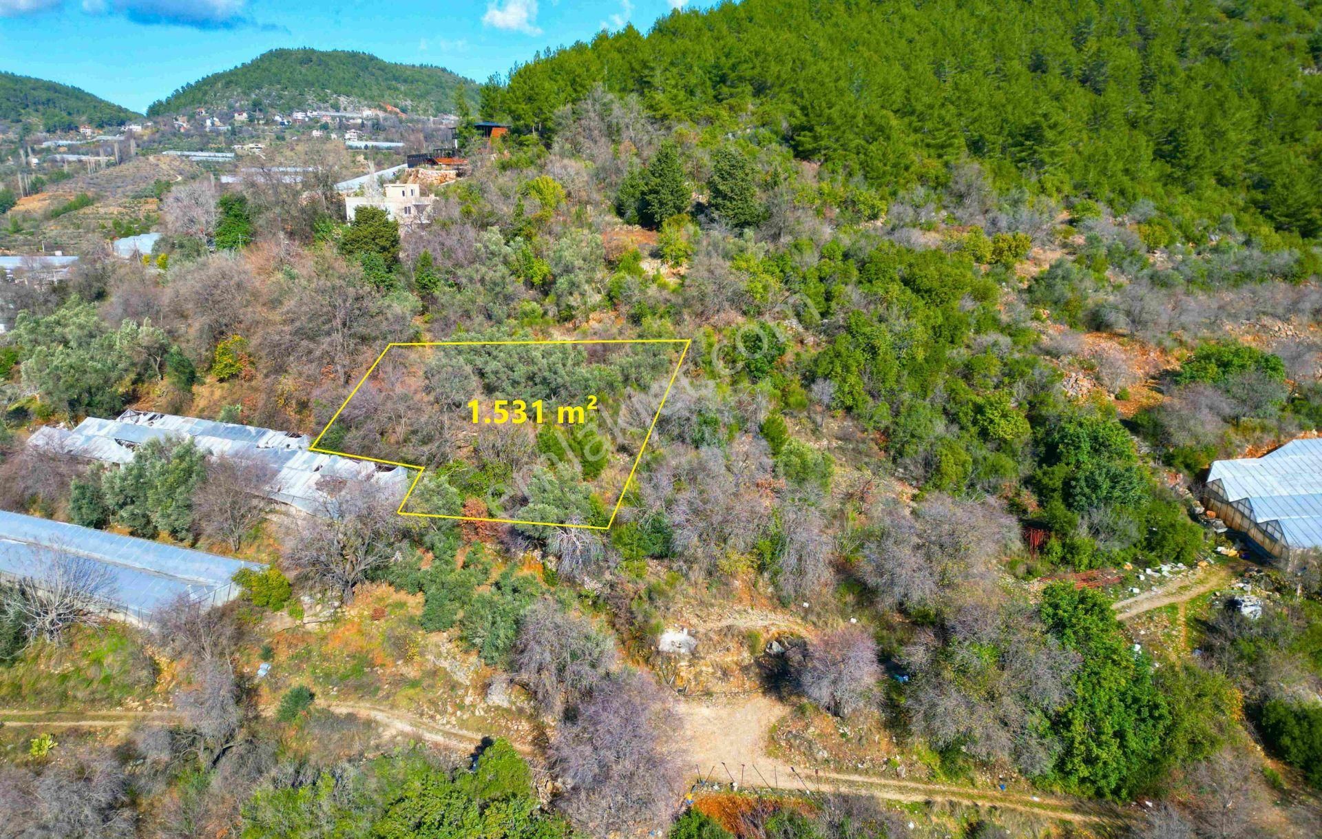 Satılık 1.531 M² Tarla Deniz Manzaralı - Görsel 6