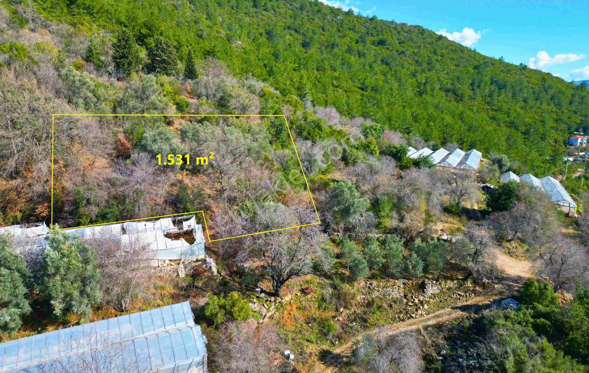 Satılık 1.531 M² Tarla Deniz Manzaralı - Görsel 8