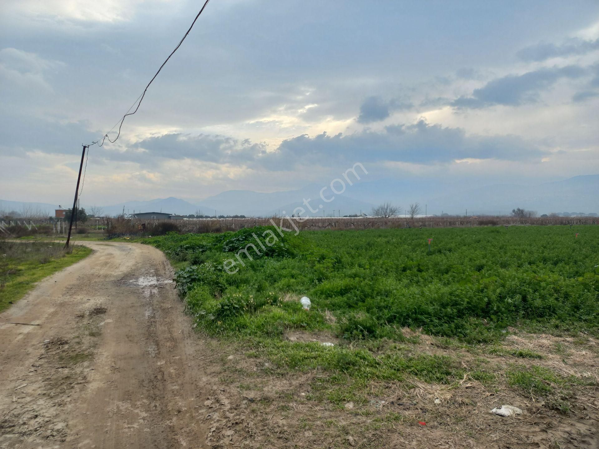 Menemen Değirmendere Satılık Tarla Okkalı Emlak Tan Menemen Emiralem De Satılık Tarla