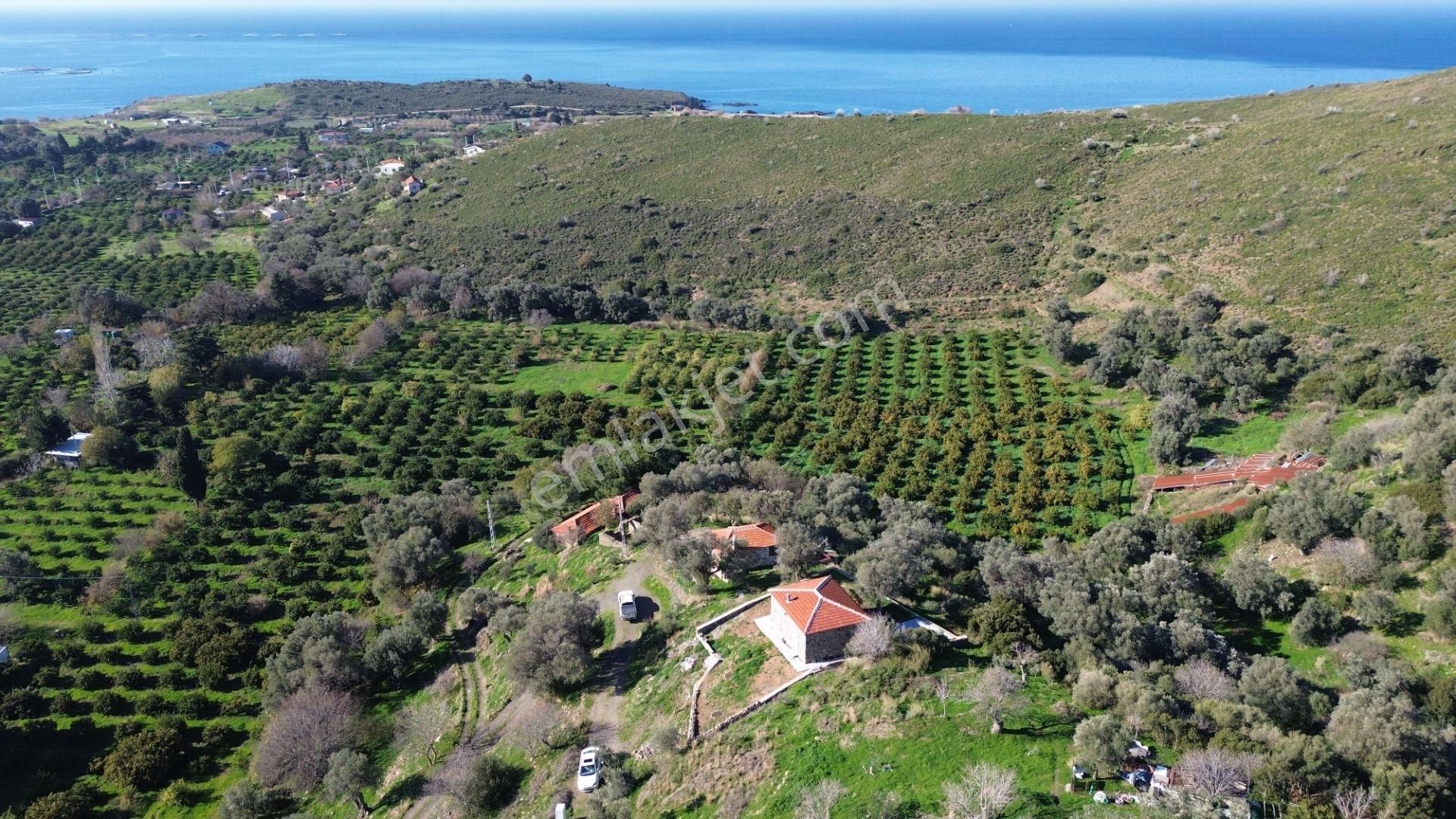 Karaburun Parlak Satılık Tarla Karaburun Badembükü'nde Deniz Ve Doğa Manzaralı Ev Ve Bahçesi