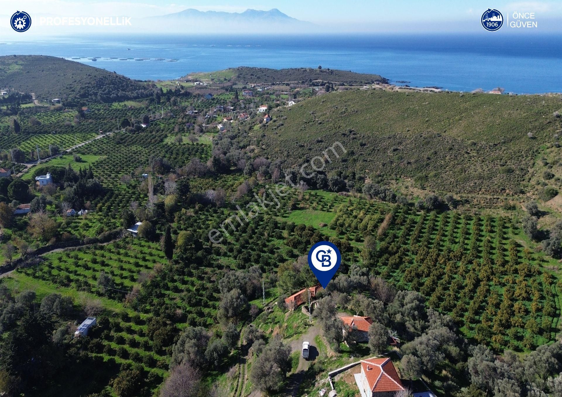 Karaburun Badembükü'nde Deniz Ve Doğa Manzaralı Ev Ve Bahçesi - Görsel 13