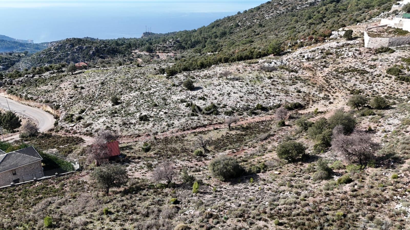 Goldhouse Dan Satılık Arsa Muhteşem Manzaraya Sahip 2947 M2 - Görsel 3