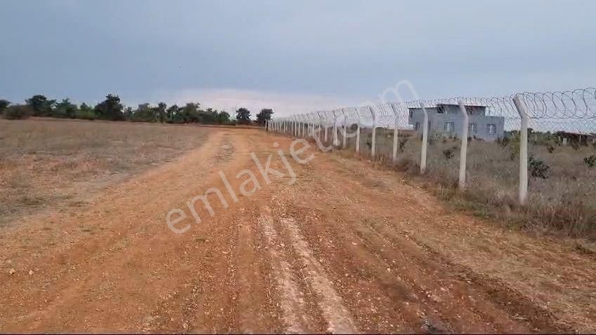 Sarıçam Mustafalar Satılık Tarla Sarıçamda Tek Tapu Tarla Mustafalar 12 Dönüm İsterseniz 6+6 Olarak 2 Tapu Halinde Alabilirsiniz