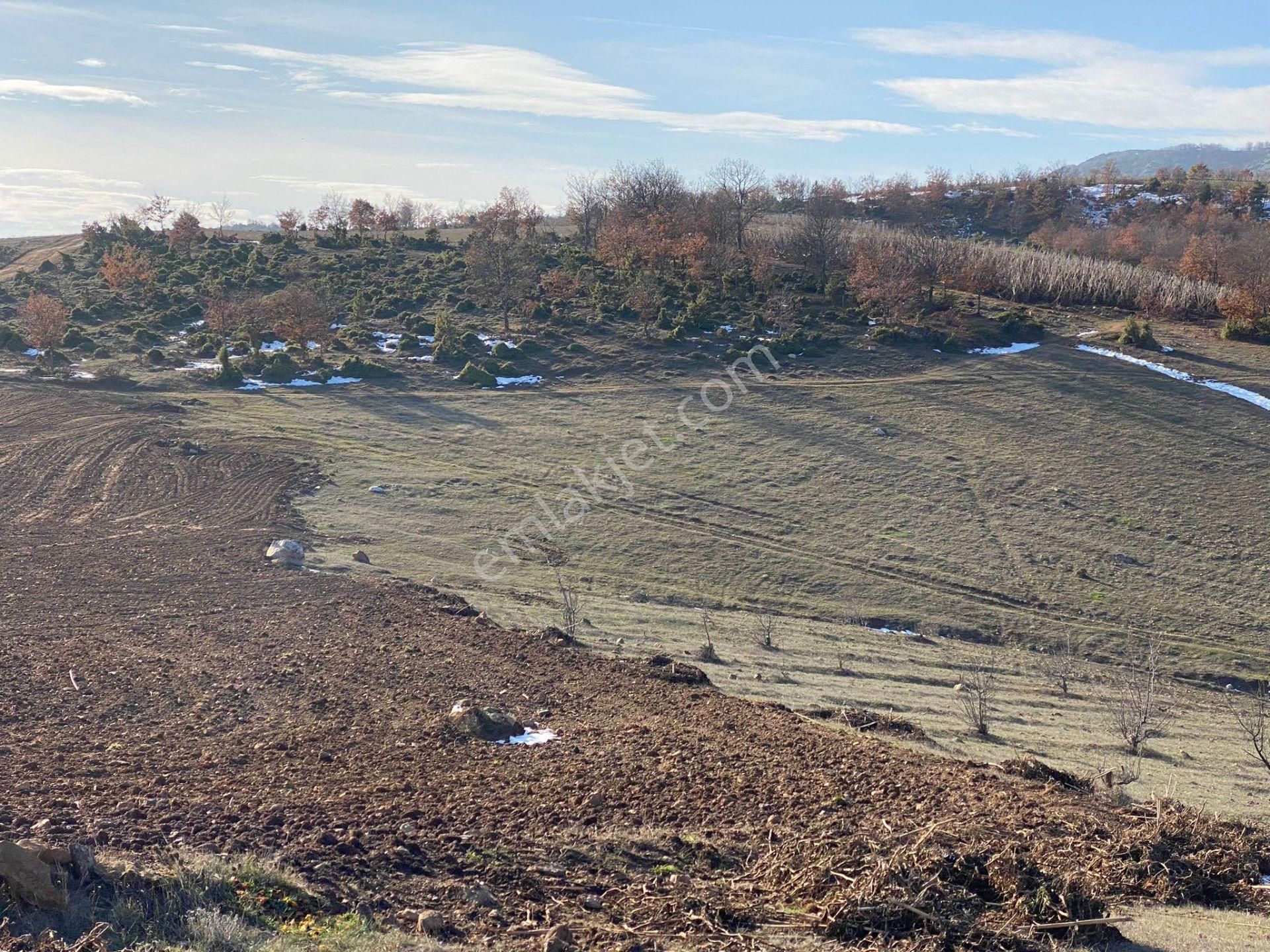 Osmaneli Oğulpaşa Köyü (Merkez) Satılık Tarla Oğulpaşa Köyünde 1,868 M2 Satılık Manzaralı Arazi