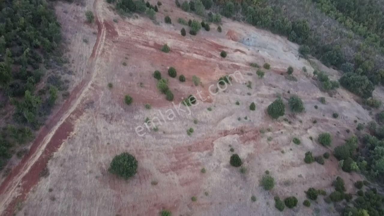 Osmaneli Oğulpaşa Köyü (Merkez) Satılık Tarla 4,600 M2 Uygun Fiyatlı Arazi