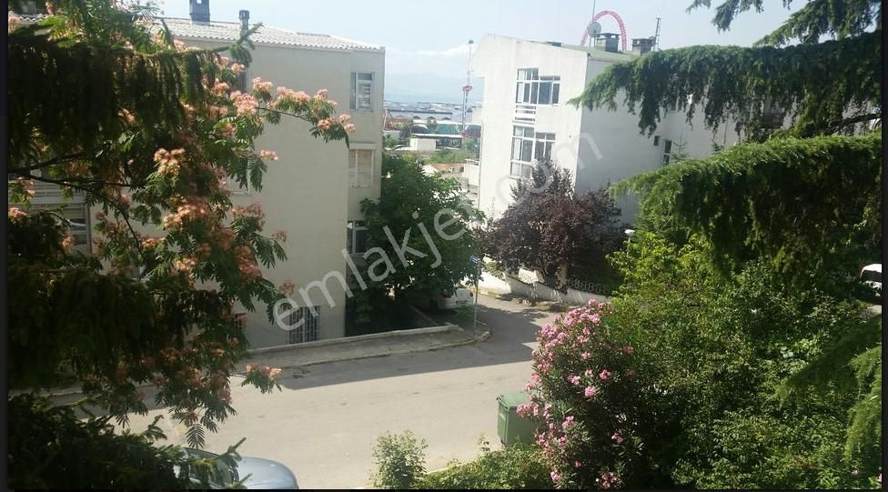 Tuzla Cami Kiralık Daire T&r Gayrimenkul Den Marinaya 50 Mt.siteiçi 3+1 Daire