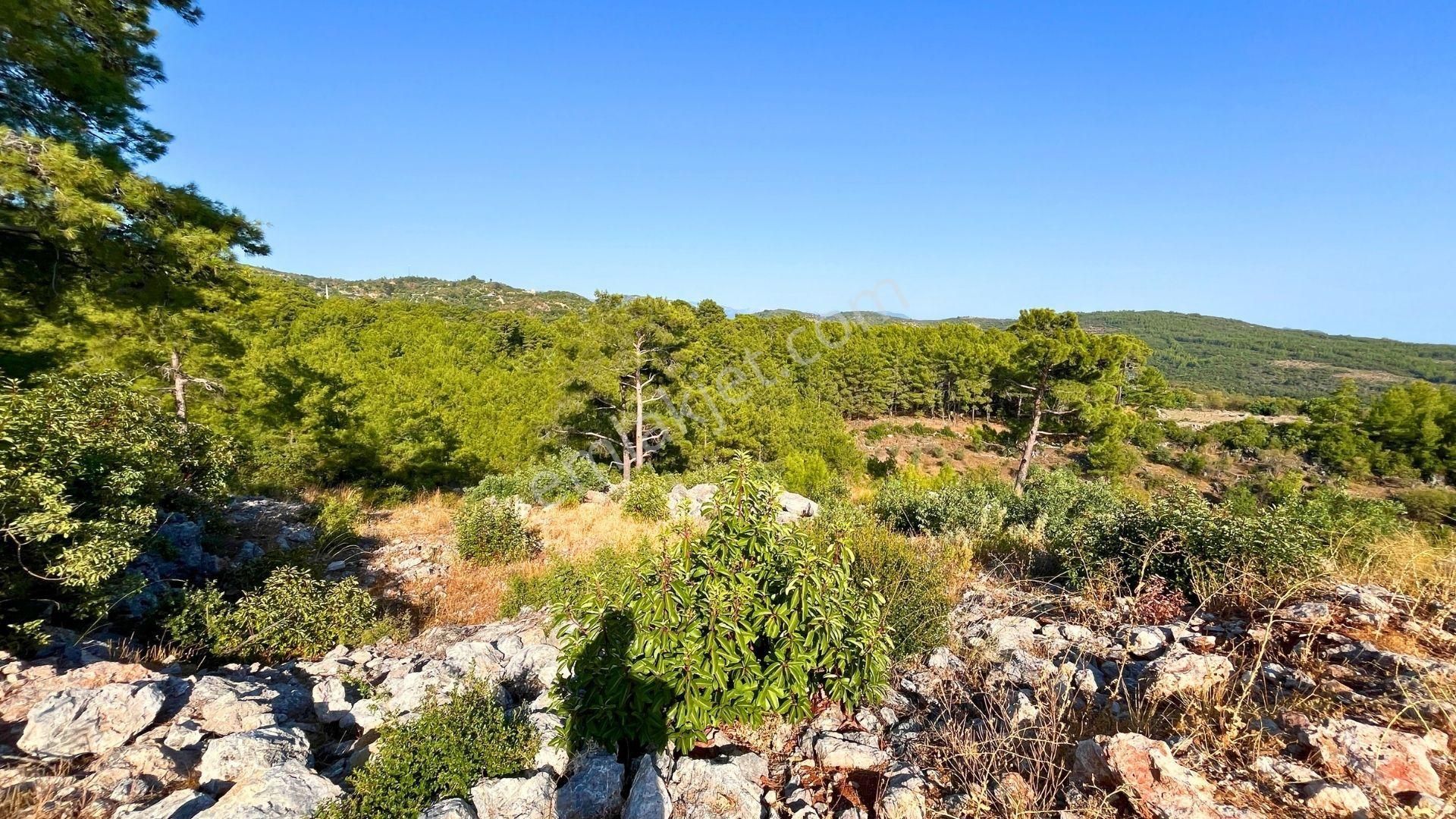 Satılık 2540 M² Tarla Deniz Manzaralı, Orhan Mah. - Görsel 20