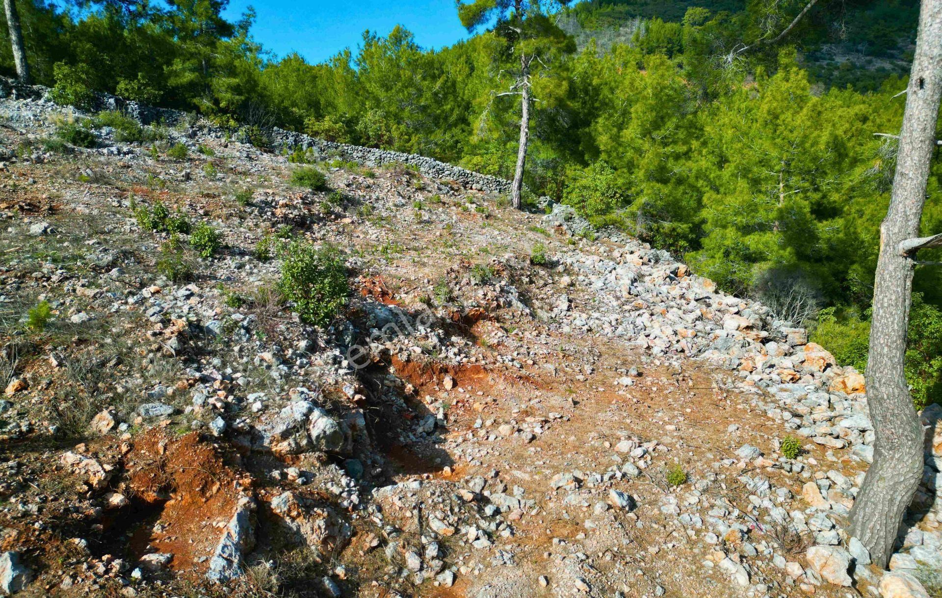 Satılık 2540 M² Tarla Deniz Manzaralı, Orhan Mah. - Görsel 10