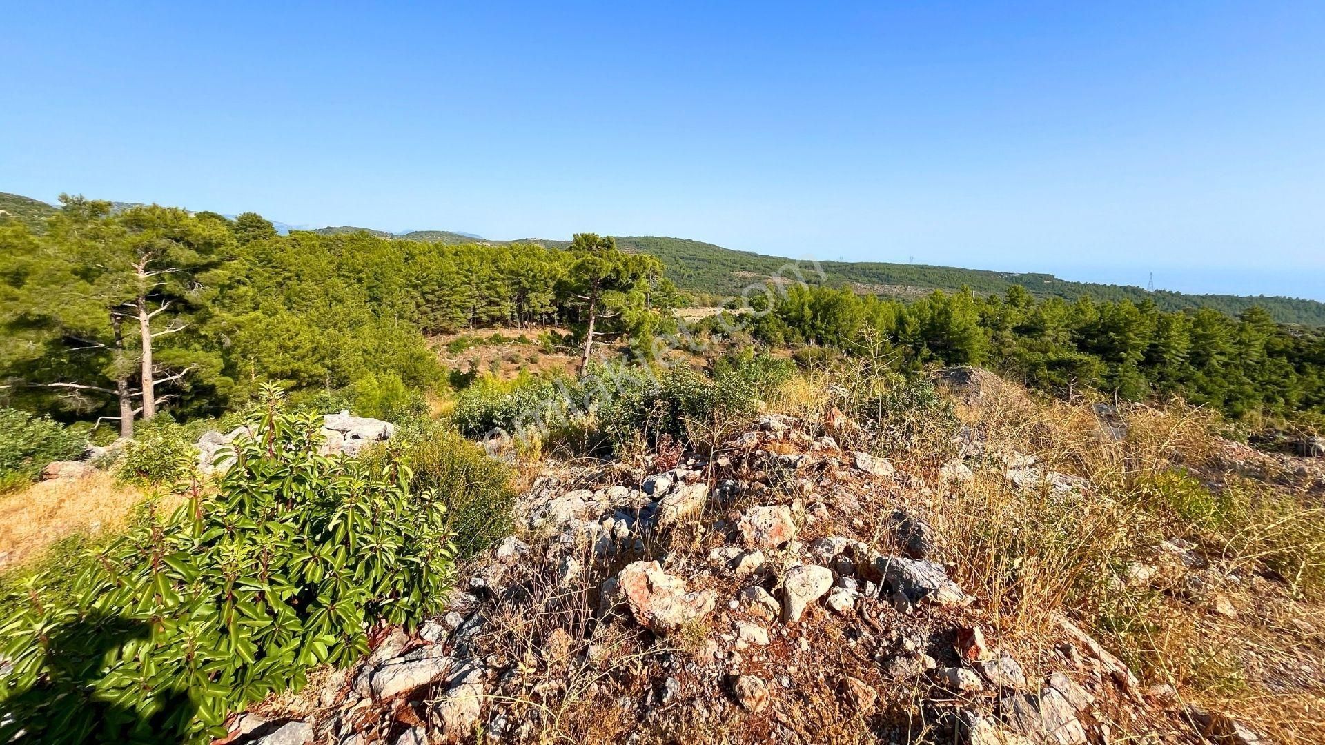 Satılık 2540 M² Tarla Deniz Manzaralı, Orhan Mah. - Görsel 21