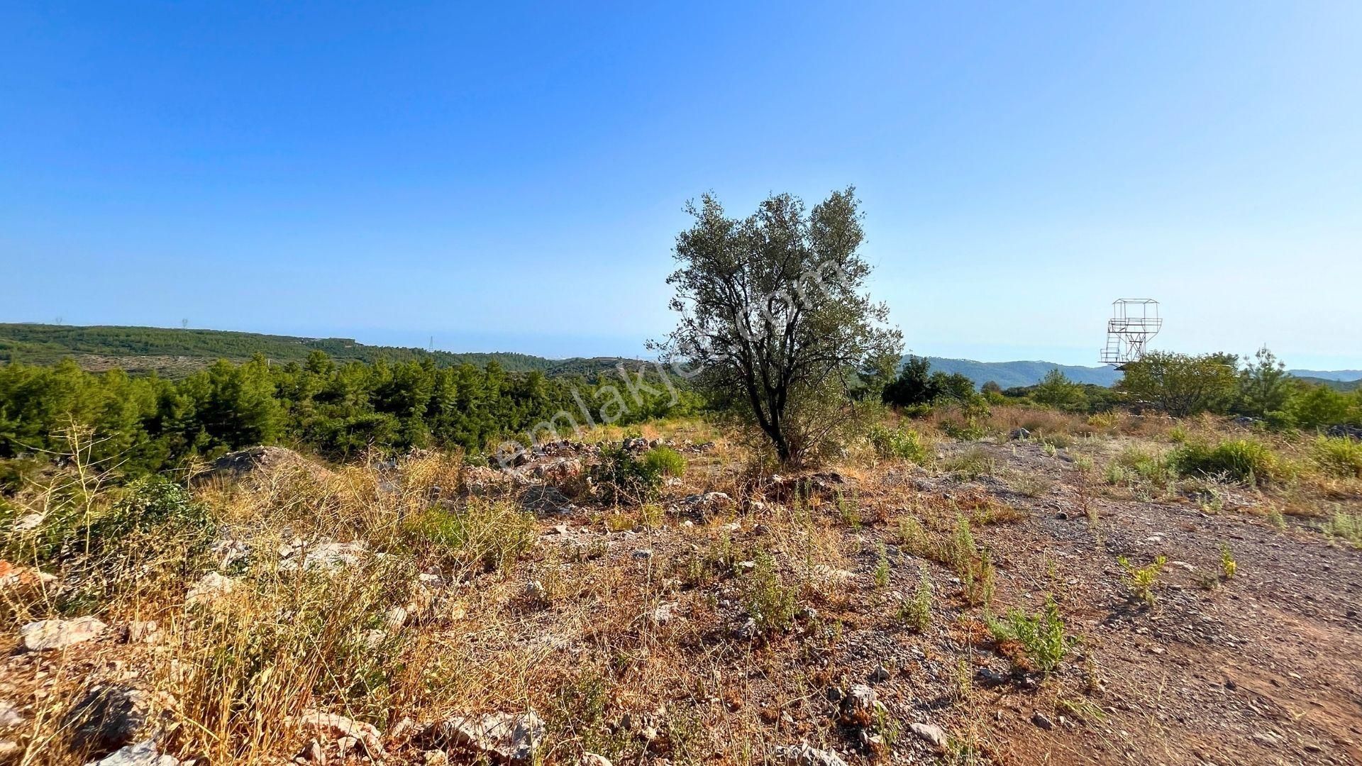 Satılık 2540 M² Tarla Deniz Manzaralı, Orhan Mah. - Görsel 22