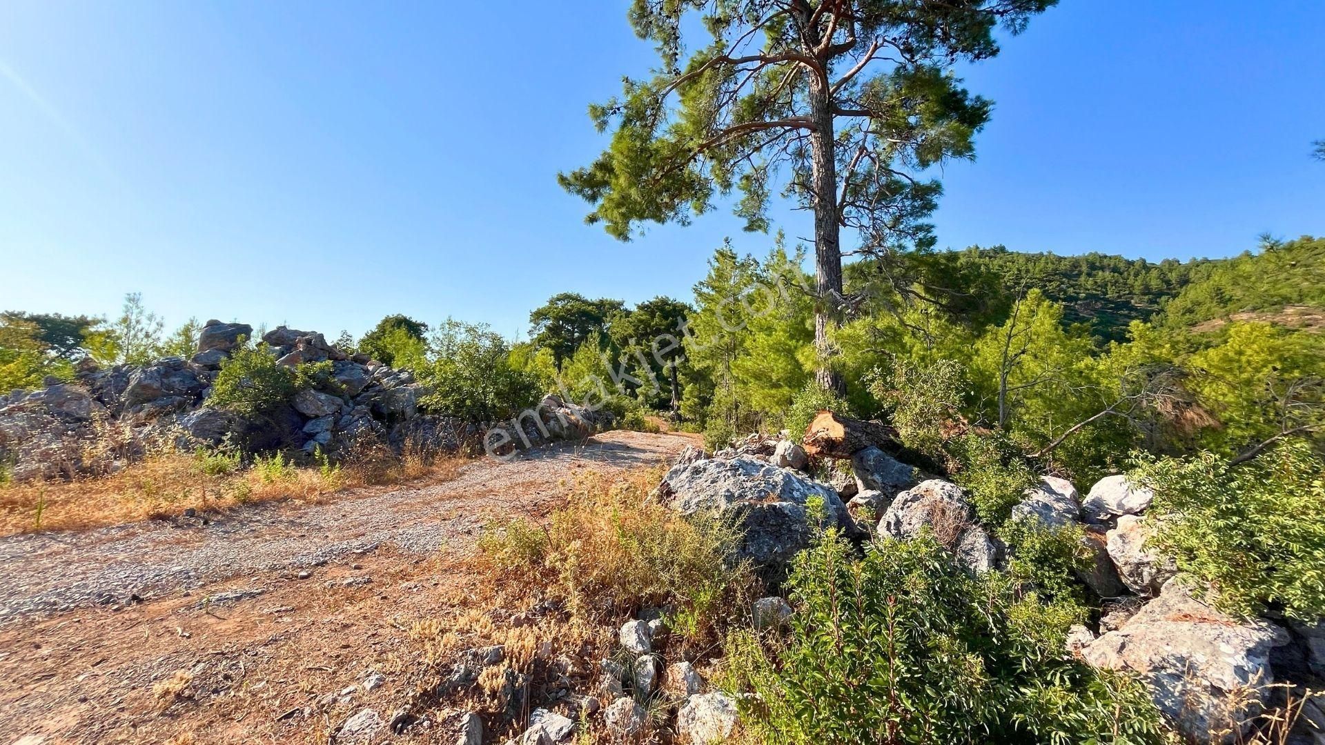 Satılık 2540 M² Tarla Deniz Manzaralı, Orhan Mah. - Görsel 23