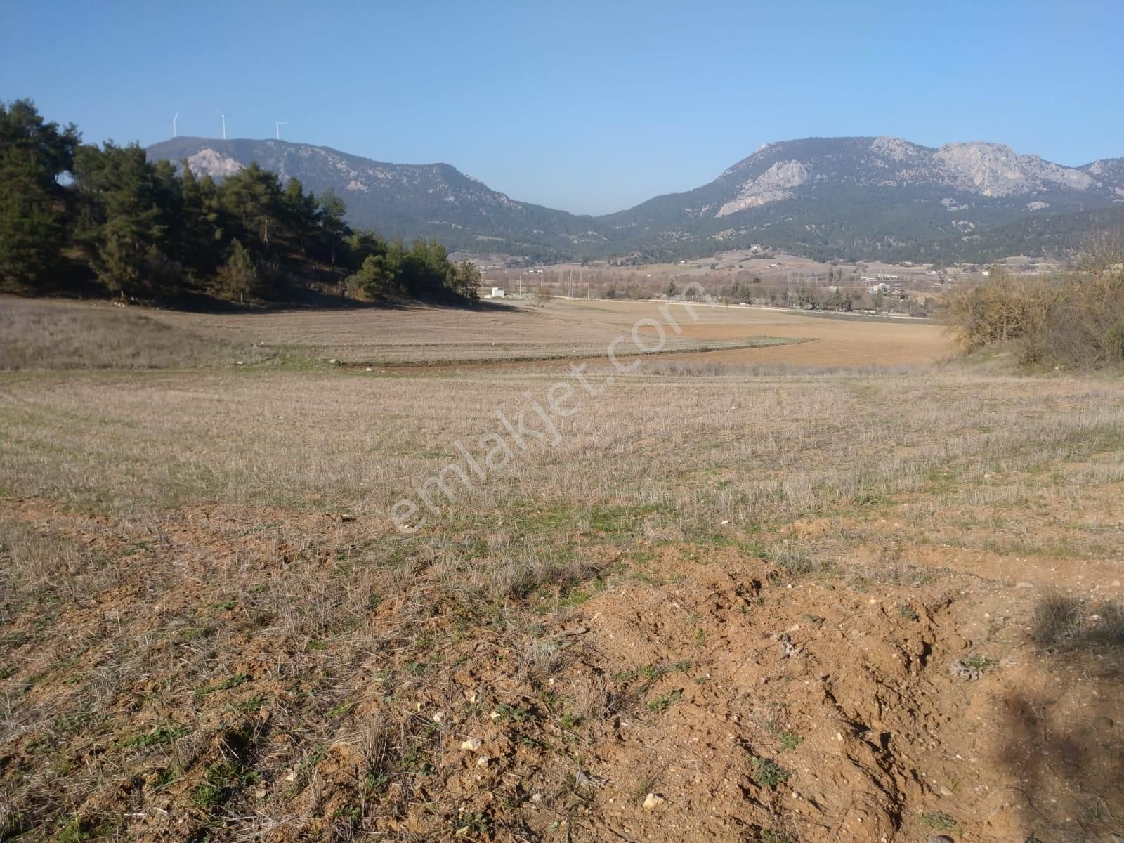 Bilecik Merkez Selbükü Köyü Satılık Tarla 1,915 M2 Selbükü'de 2 Tapudan Oluşan Yatırımlık Arazi