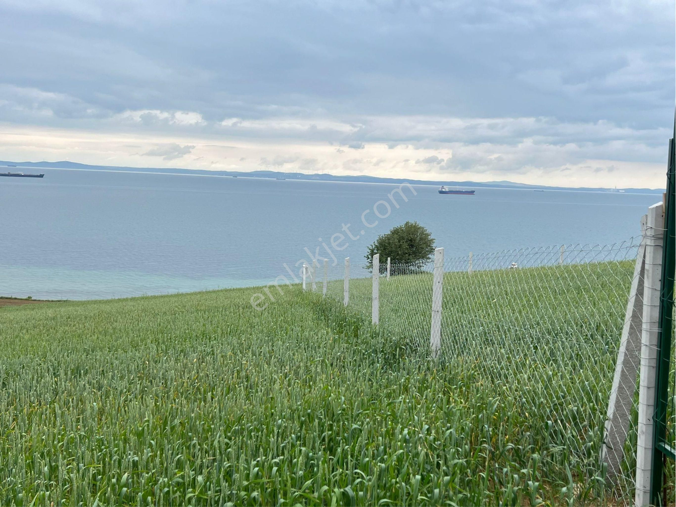 Şarköy Kocaali Satılık Konut İmarlı Acil Deniz Manzaralı Arsa