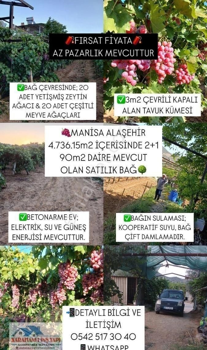 Alaşehir Örencik Satılık Bağ & Bahçe 🍇manisa Alaşehirde 4.736.15m2 İçerisinde Üzüm Bağı, Çeşitli Ağaçlar Ve Satılık Bağ Evi 🏡