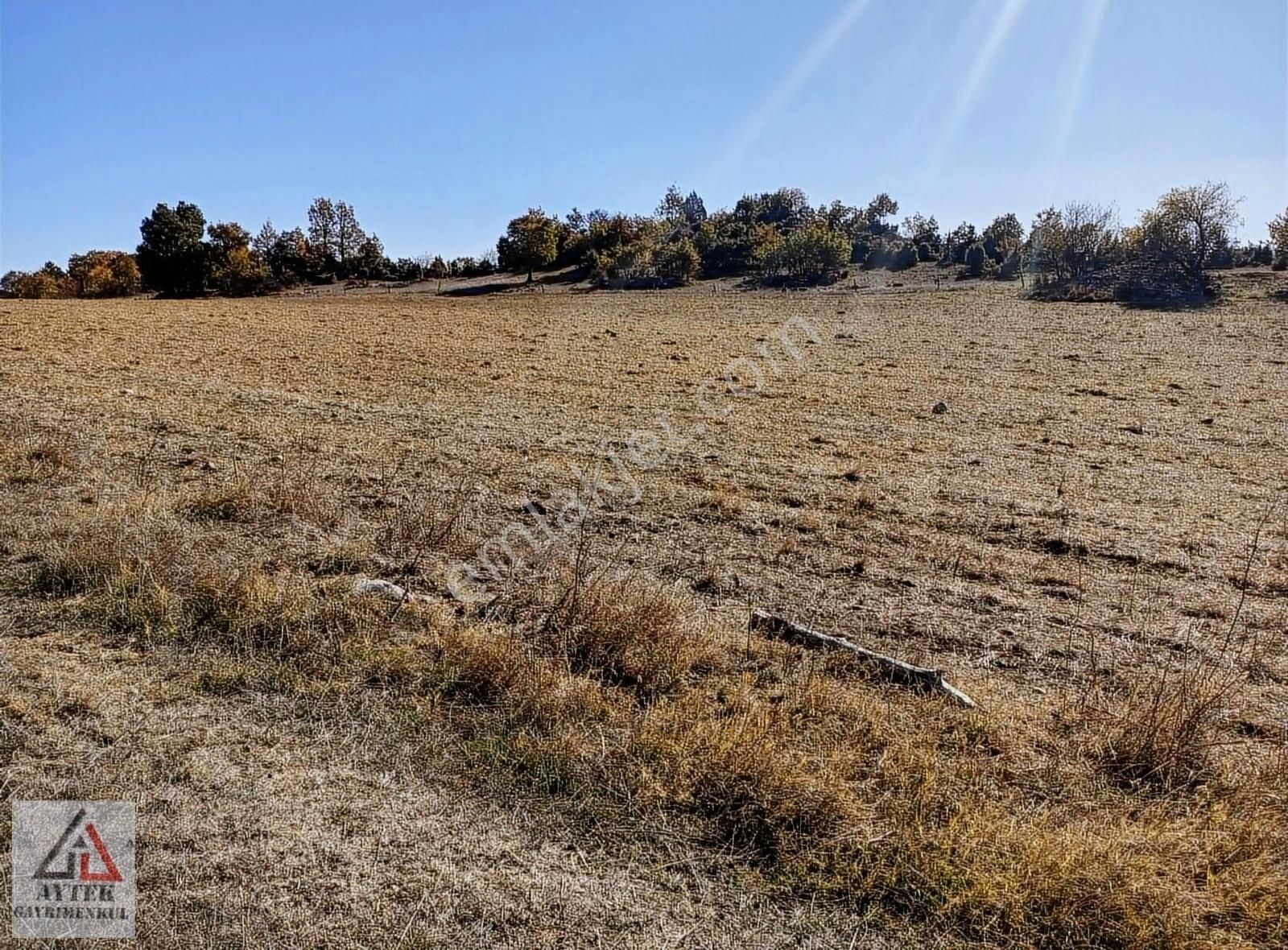 Gölpazarı Göldağı Köyü Satılık Tarla Bilecik Gölpazarı Goldagi Kelepir 2900 M2 Arsa