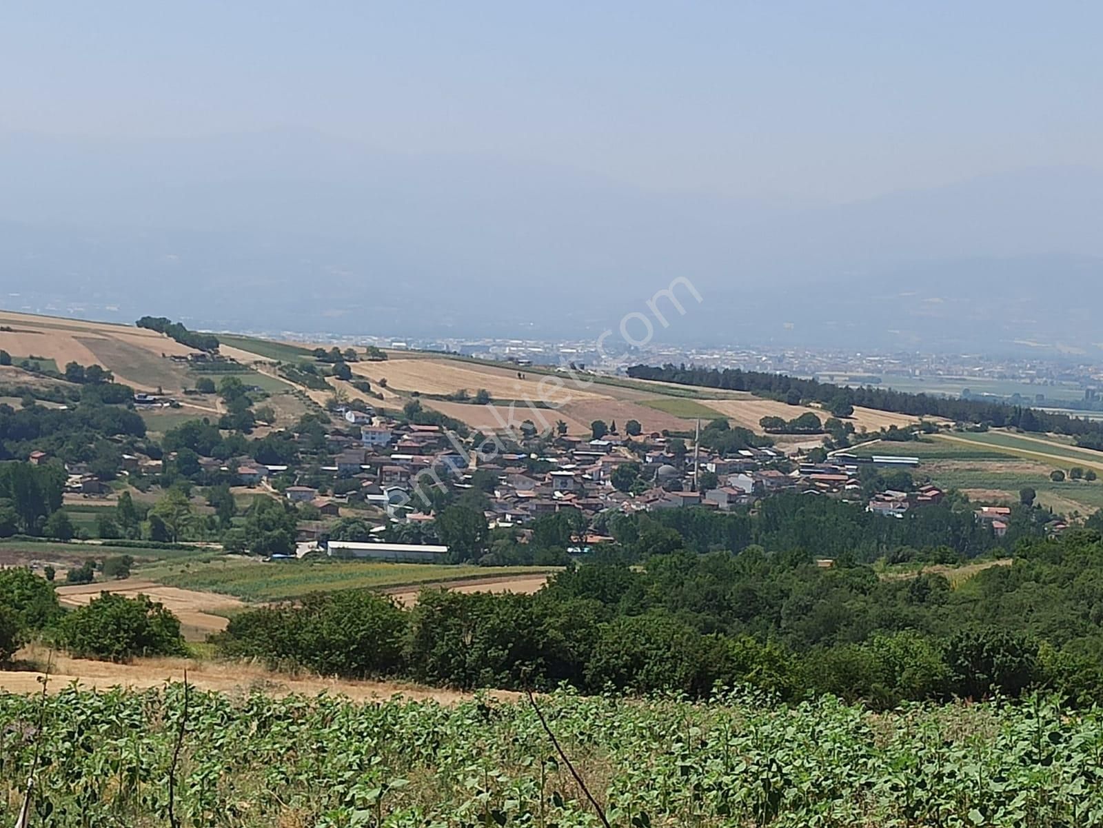 İnegöl Kozluca Satılık Tarla Bursa İnegöl Kozlucada 5000 M2 Fırsat Tarla