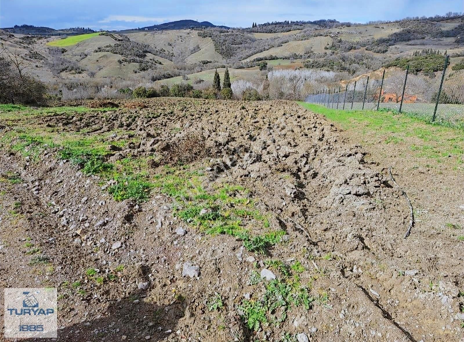 Çiftlikköy Denizçalı Köyü Satılık Tarla Turyap Tan Deizçalı Da Yola Cephe Satılık 8.203,66 M2 Tarla